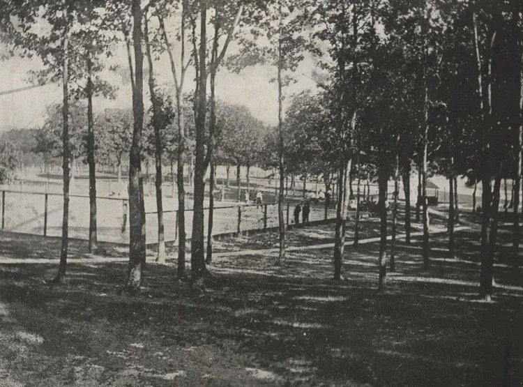Baseball Field