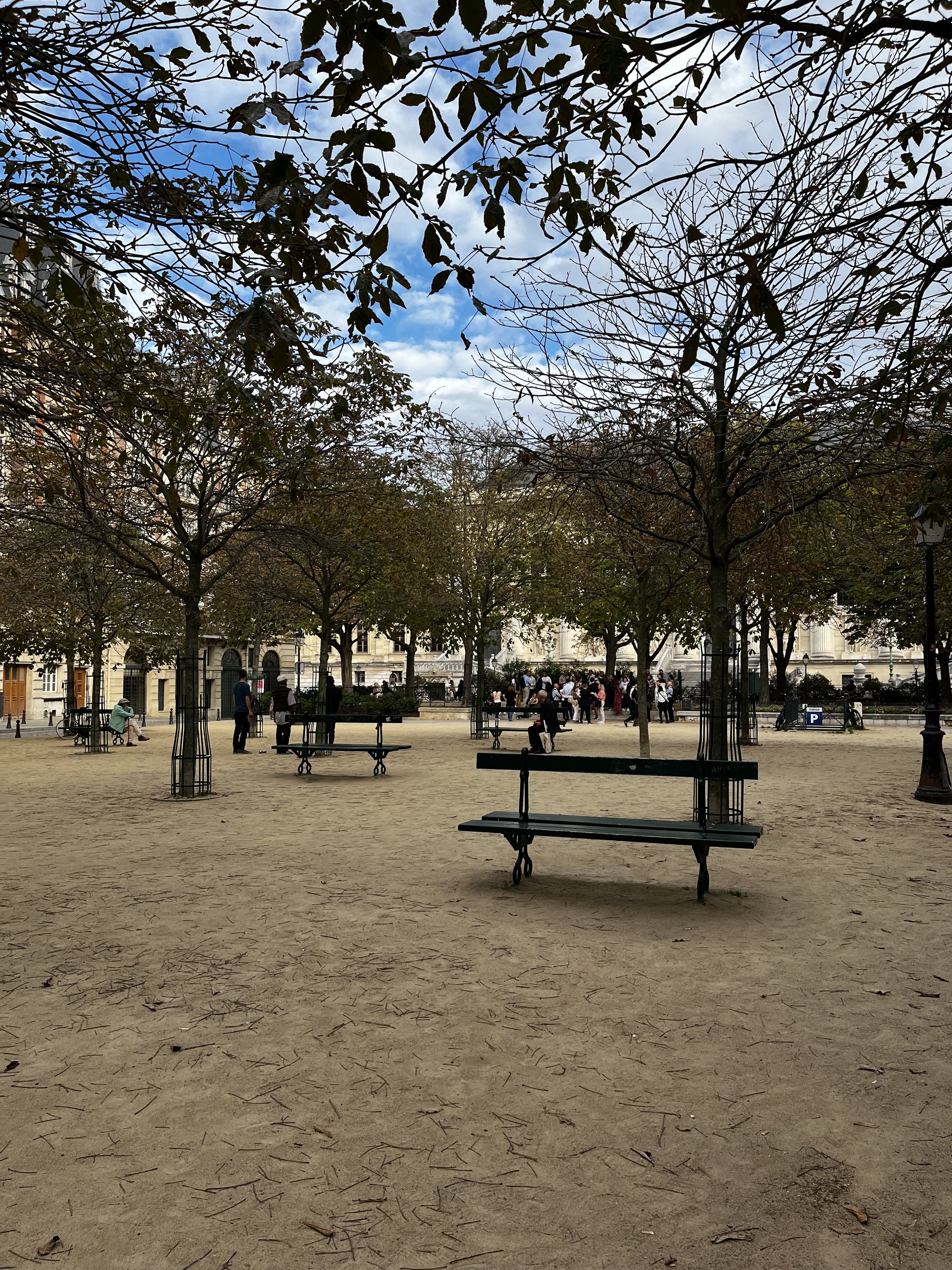 IMG_6087.jpeg