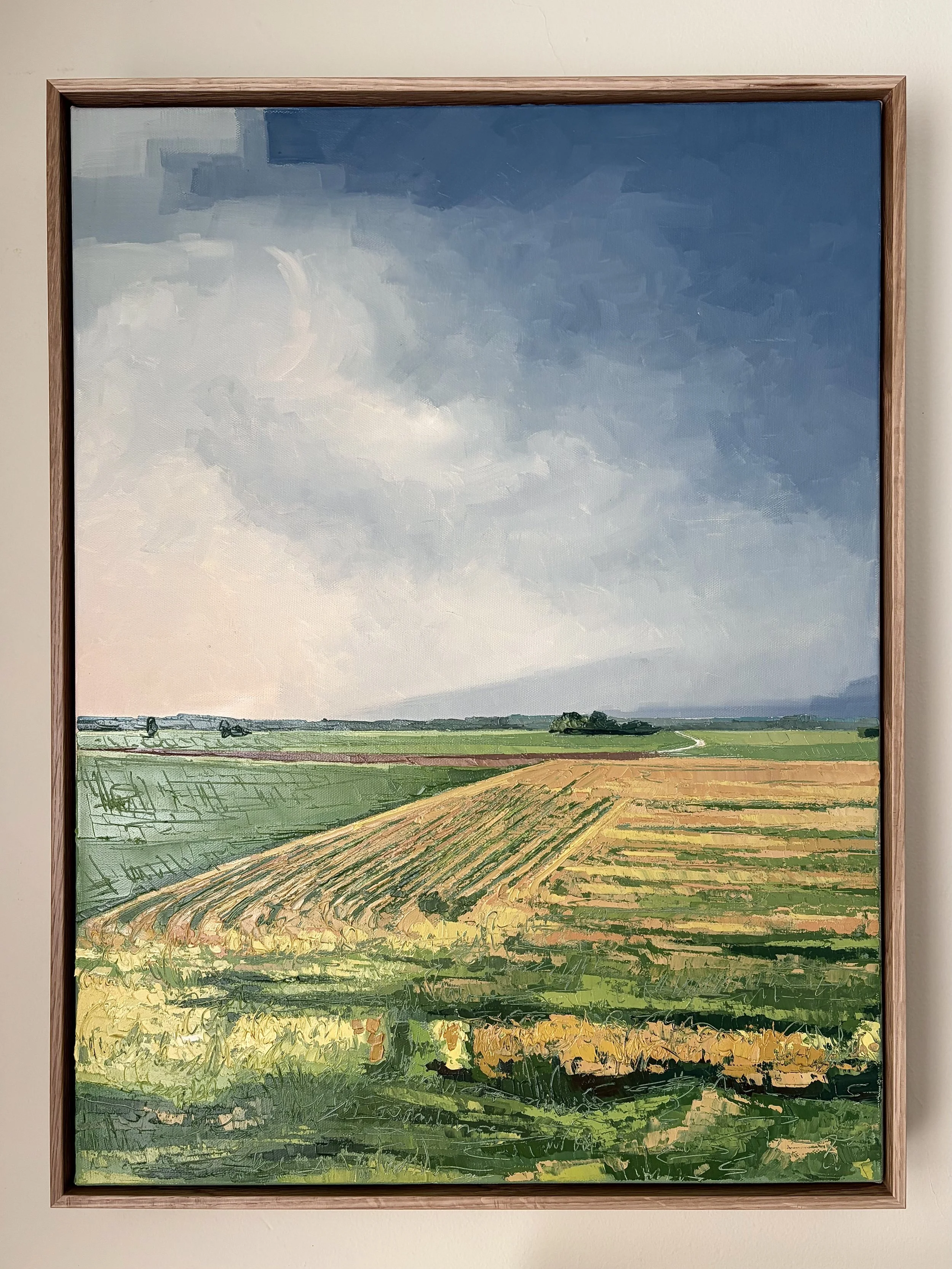 Passing Pastures, 18"x24", oil on canvas, framed, AVAILABLE - $1150