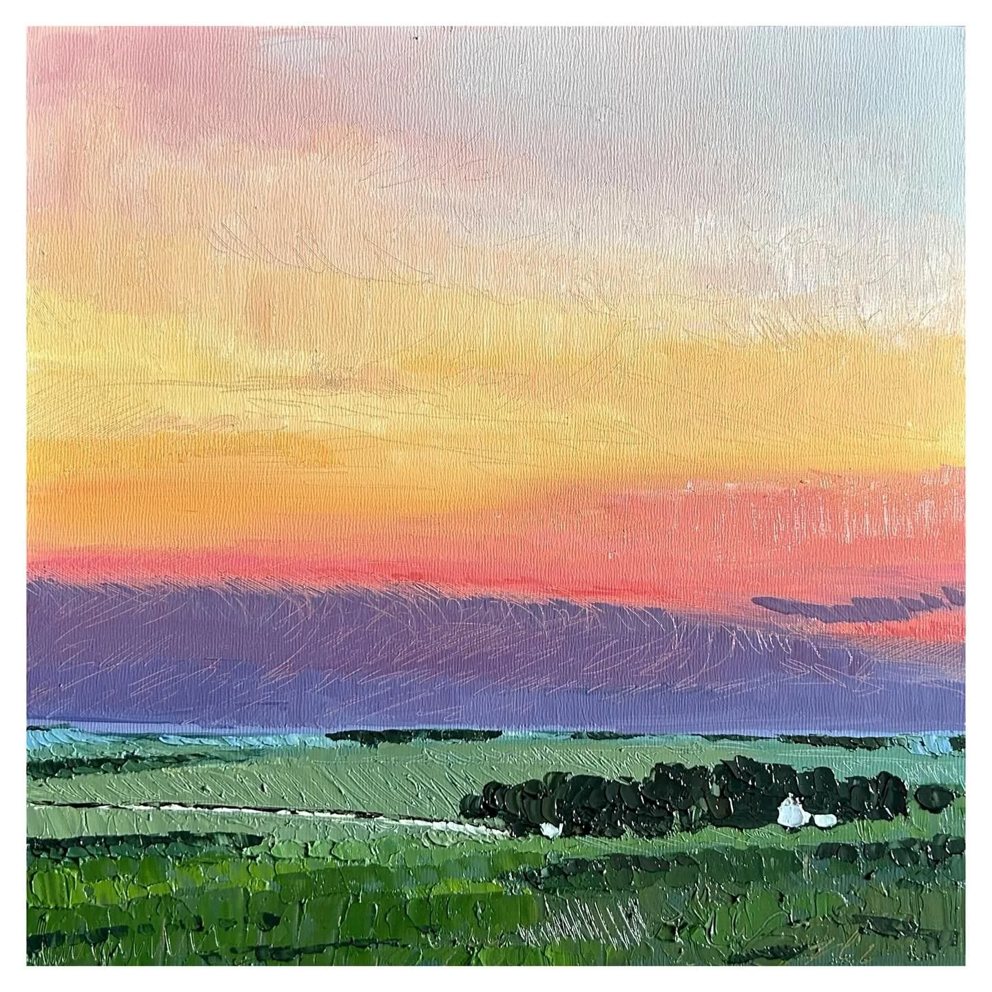 This piece alongside a couple other framed wood panels are now up at the City Arts Shop!!

12&rdquo;x12&rdquo;, oil on wood panel

#wichitaartist #sunset #farmpainting #oilpainting #impressionism #paletteknifepainting