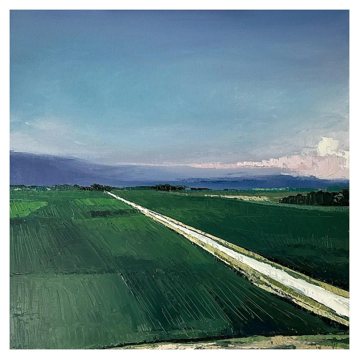 &ldquo;July at the Farm&rdquo;, 24&rdquo;x24&rdquo;, oil on canvas

#wichitaartist #iowa #farm #impressionist #oilpainting #customart #paletteknifepainting #landscapepainting #aerialview