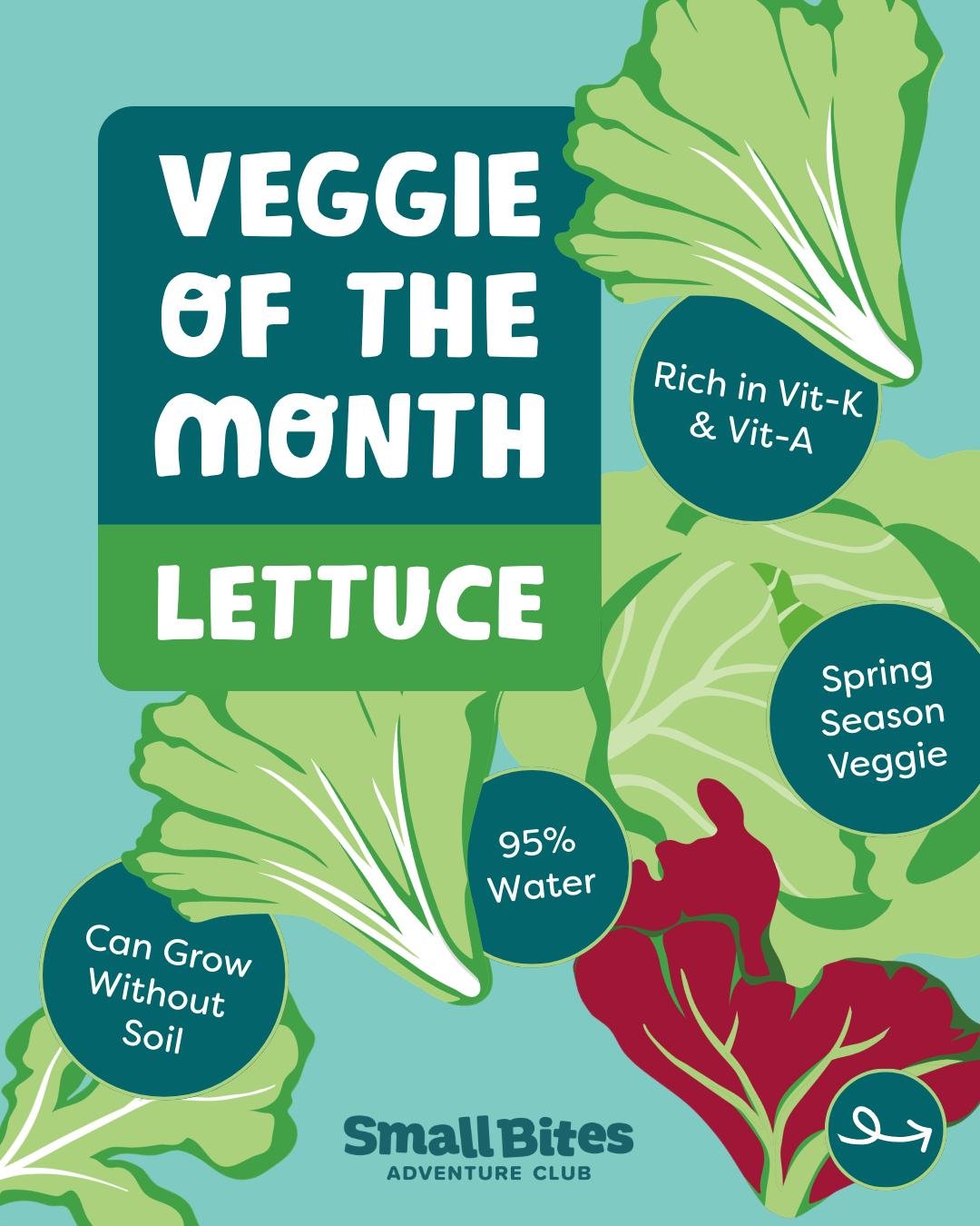 Next up in our Veggie of the Month series: Lettuce! 🥬✨

Lettuce is the hero ingredient of our '1-2-3 Vinaigrette with Lettuce' recipe that Veggie Ready classrooms are whipping up this month!

To celebrate National Nutrition Month, we are opening up 