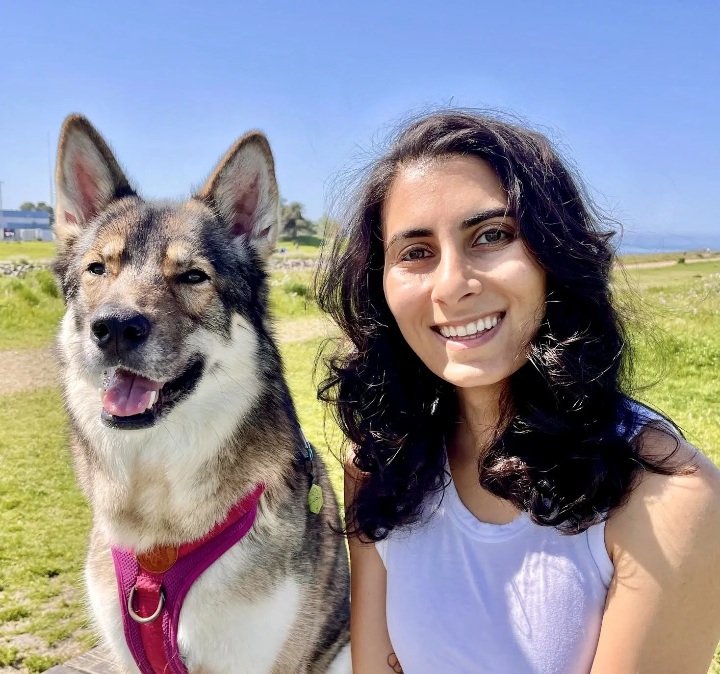 A woman with curly black hair smiling next to a happy husky dog on a grassy field with a blue sky.