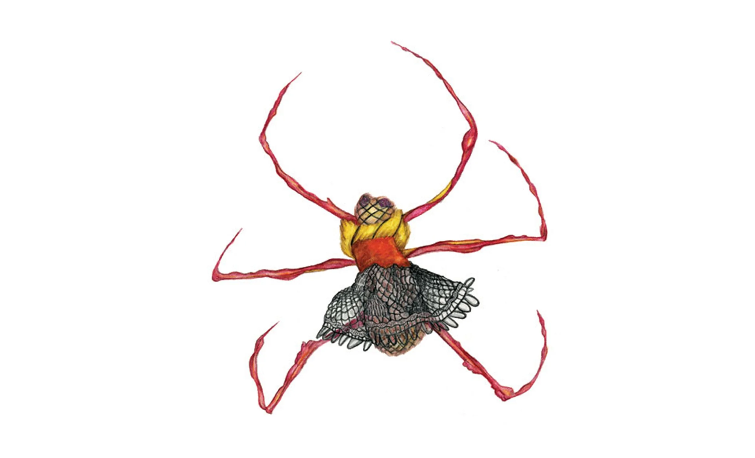 Illustrations