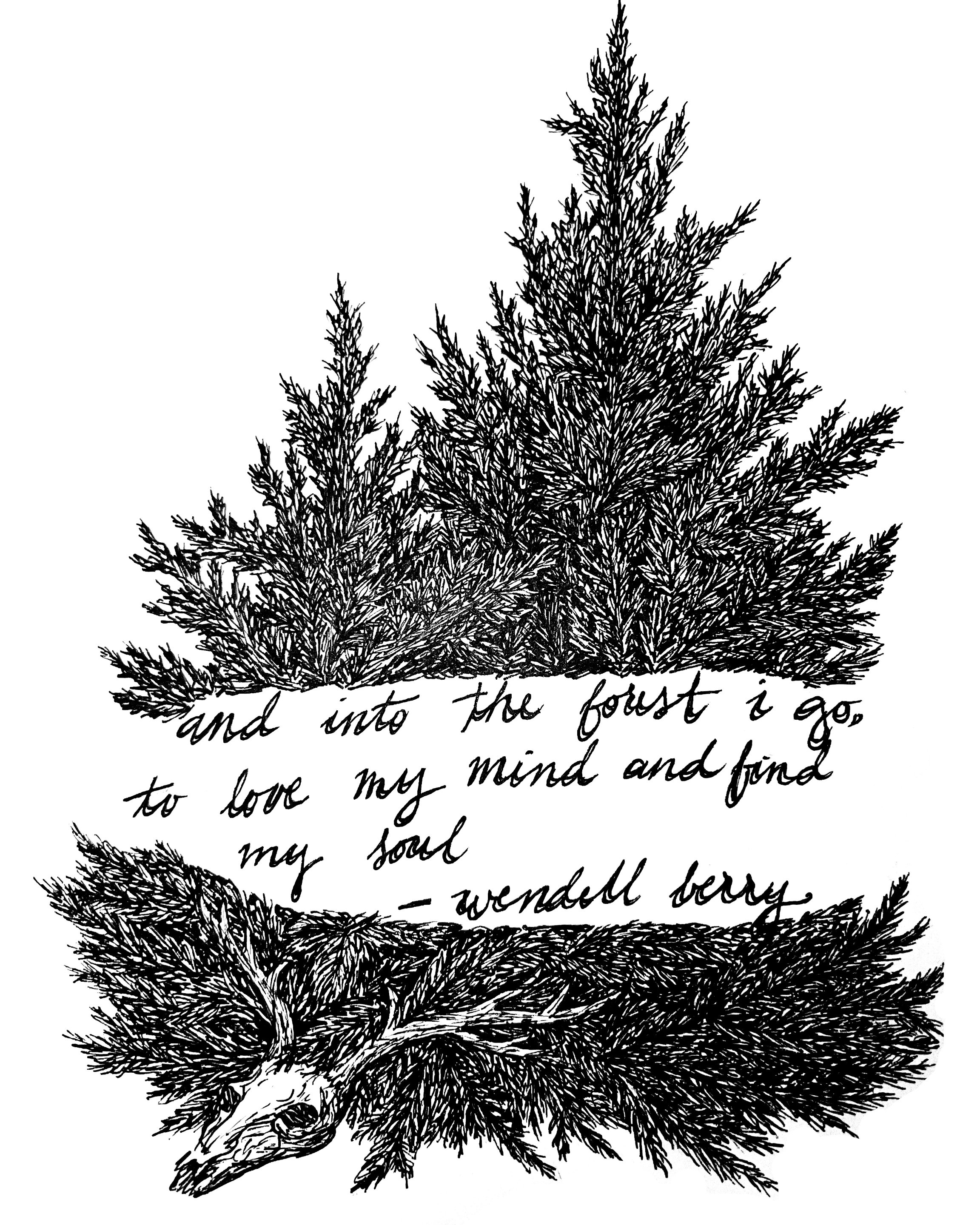 "Forest Floor" Wendell Berry Quote Pine Illustration 2024