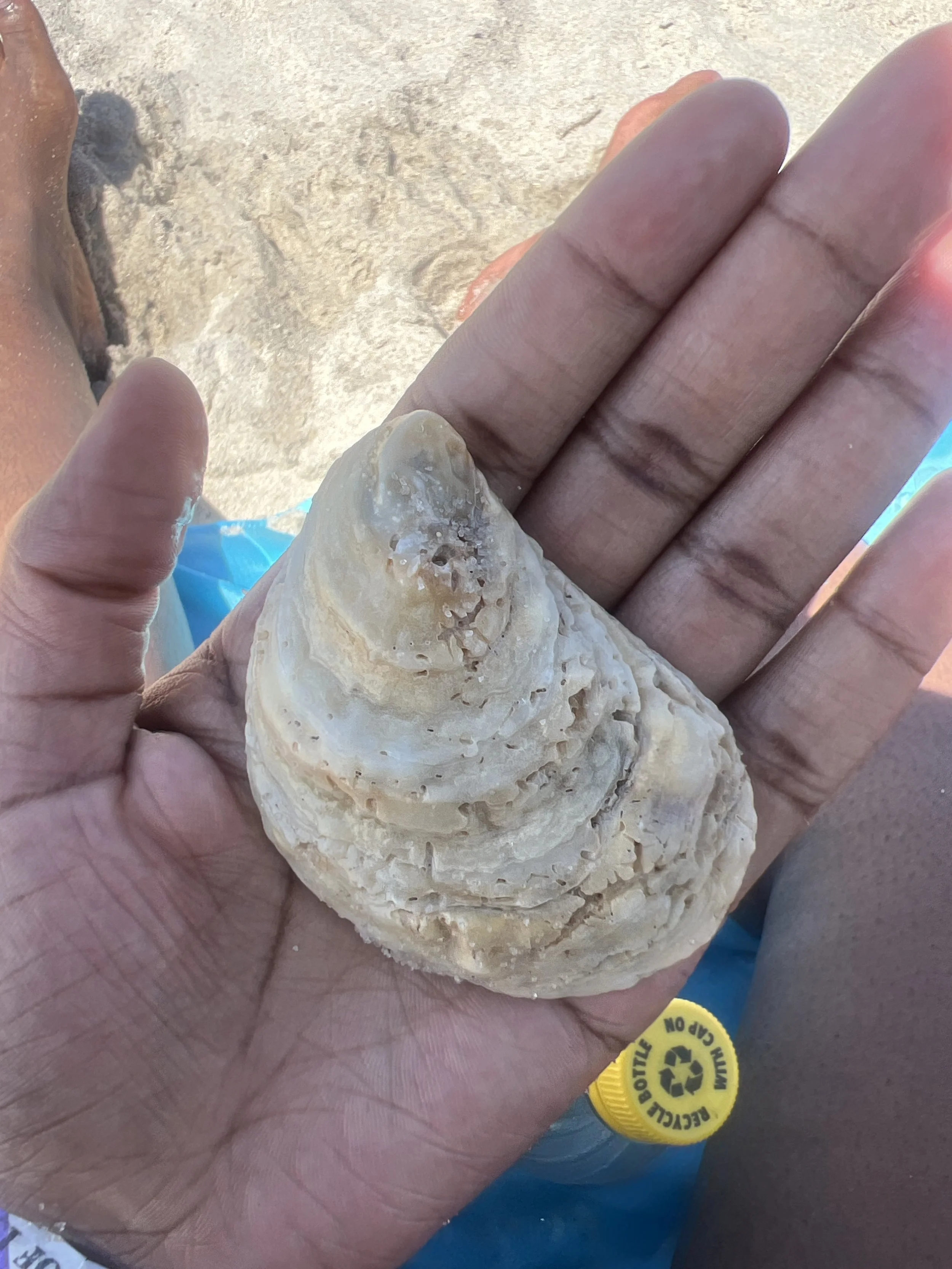 Photo Jun 24 2025, 3 02 29 PM.jpg