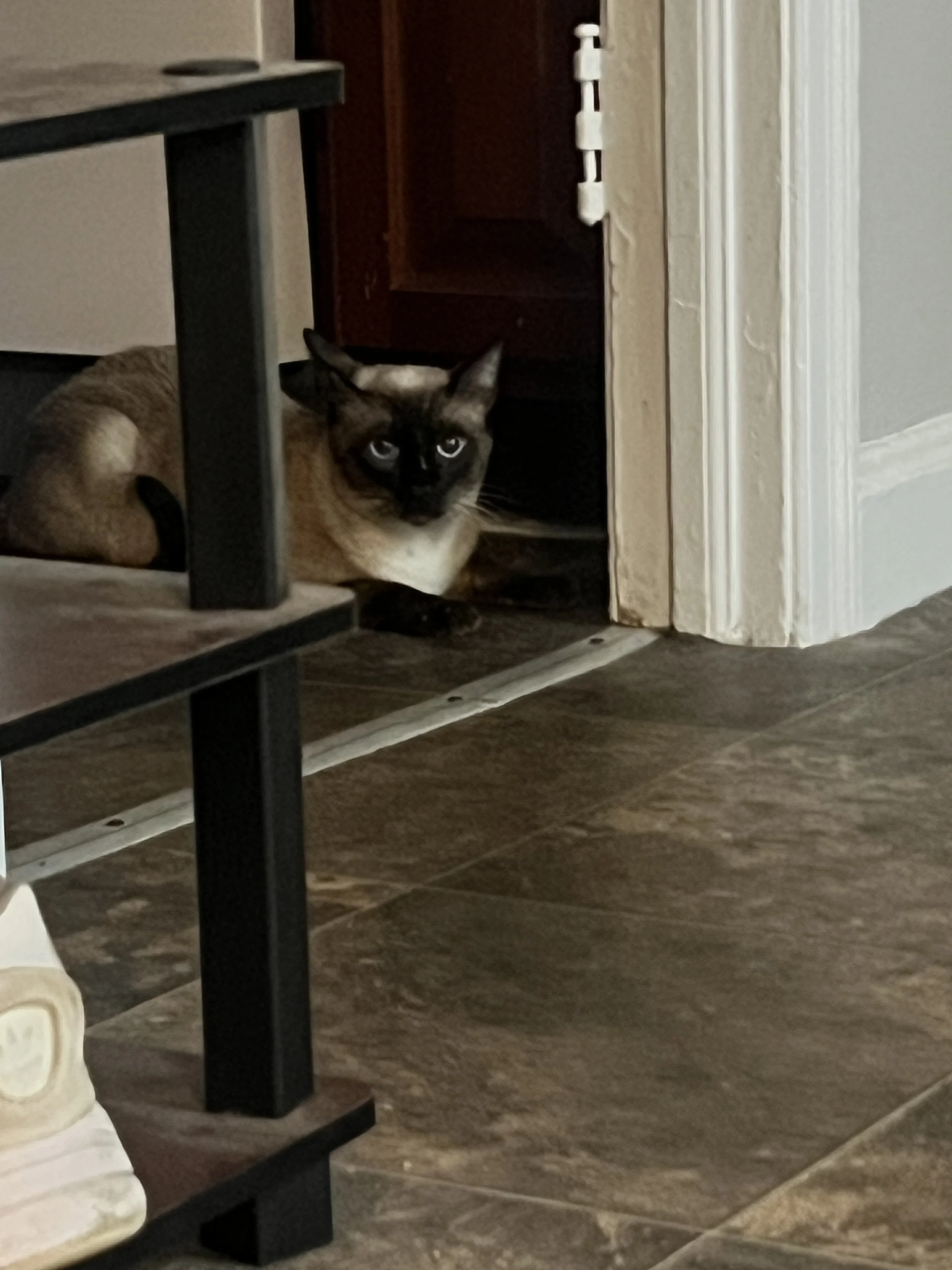 Photo Oct 13 2025, 1 09 31 AM.jpg