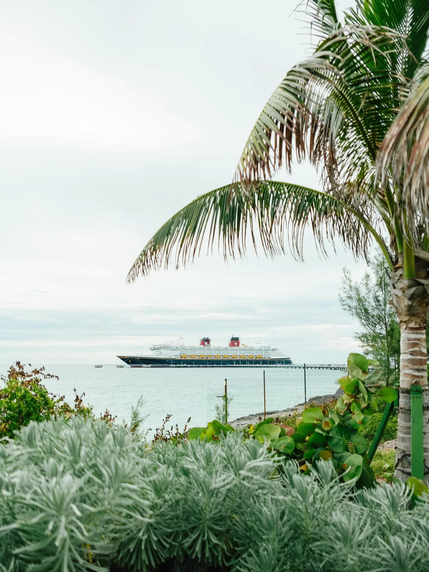 Three ships. 
Same class. 
Totally different vibes.

Disney&rsquo;s Wish‑class ships may look similar on paper, but the experience onboard each one feels unique. From dining and shows to themes and energy.

If you&rsquo;re stuck choosing between Wish