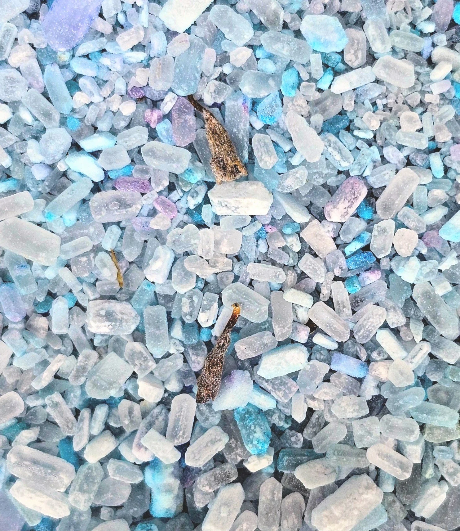 Dreamwalker's Path 2.jpg