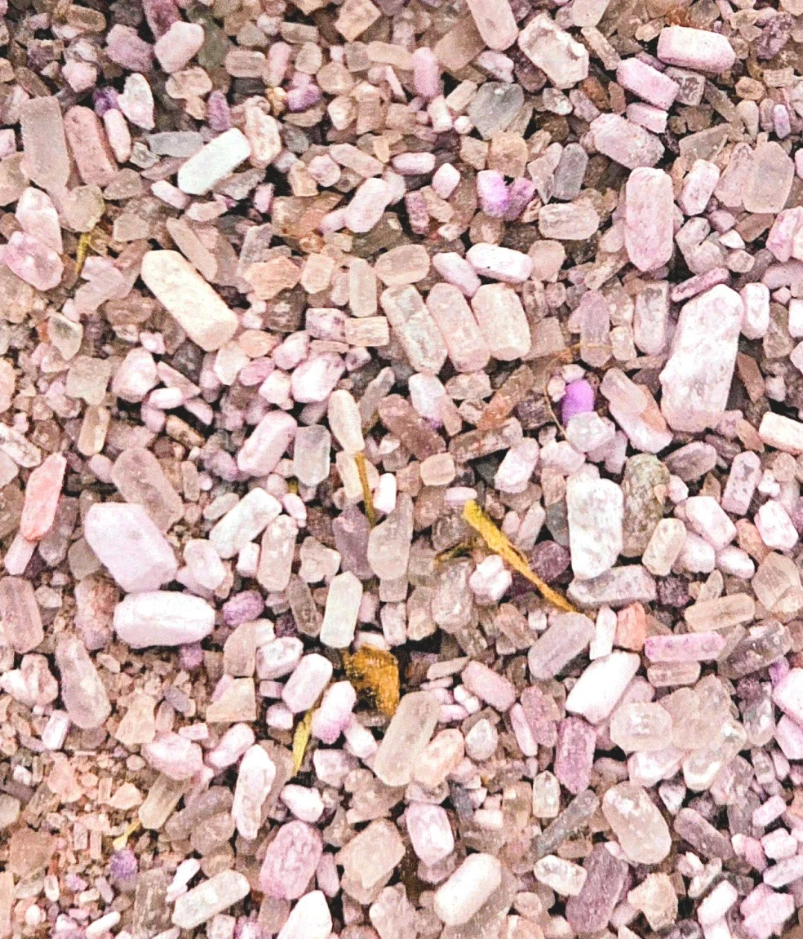 Banishing Moon 2.jpg