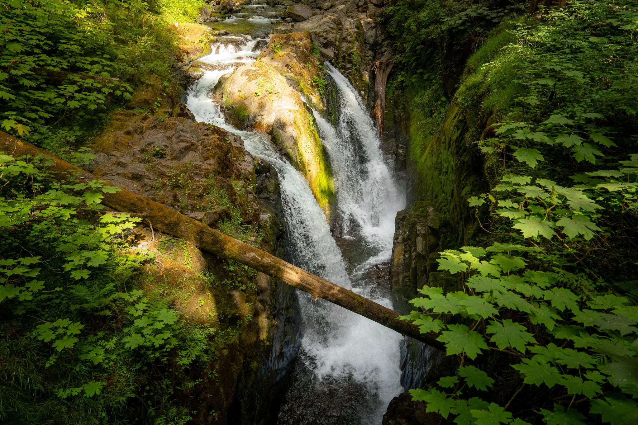 A7400718-2.jpg