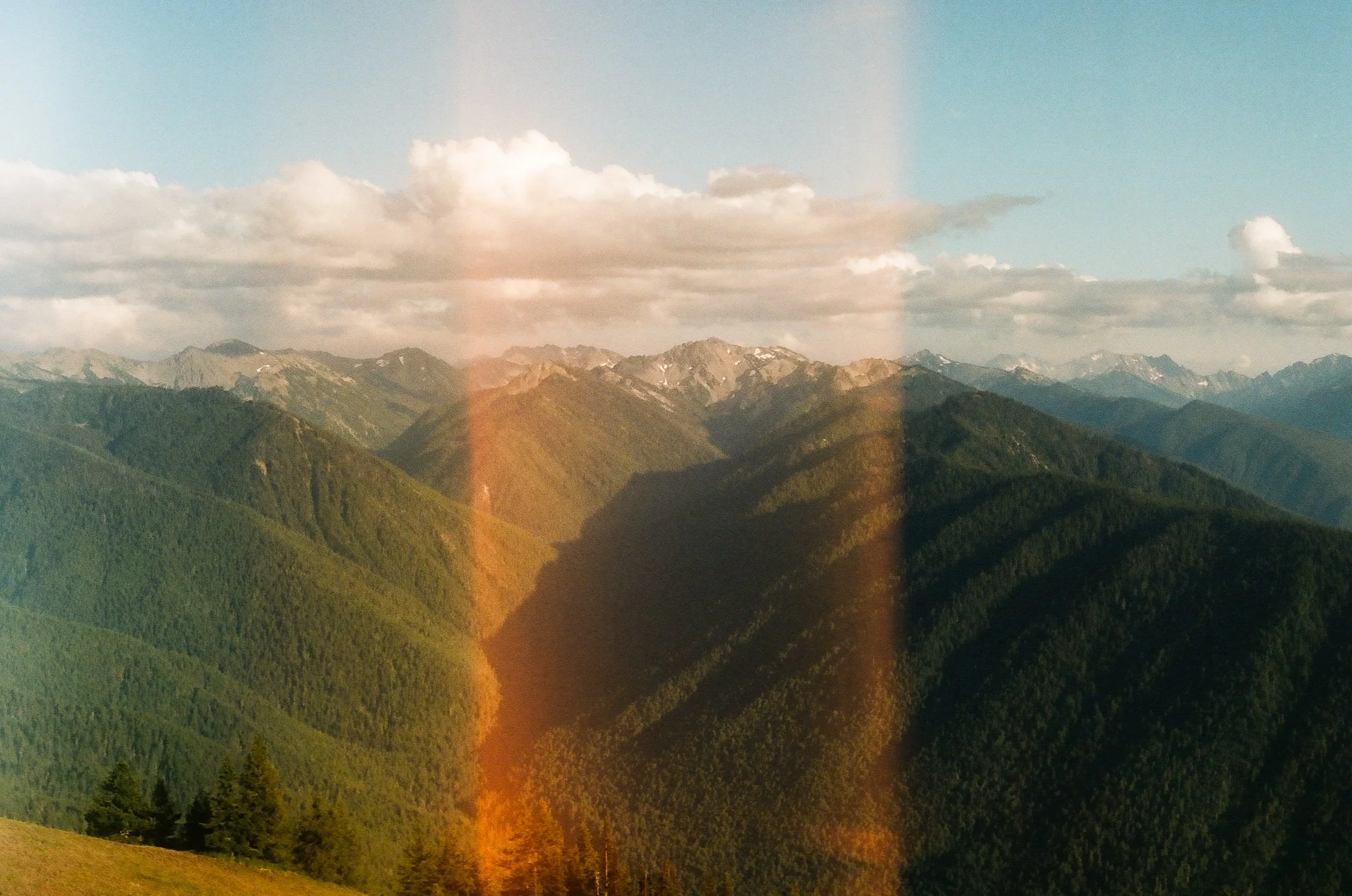 000020410020.jpg