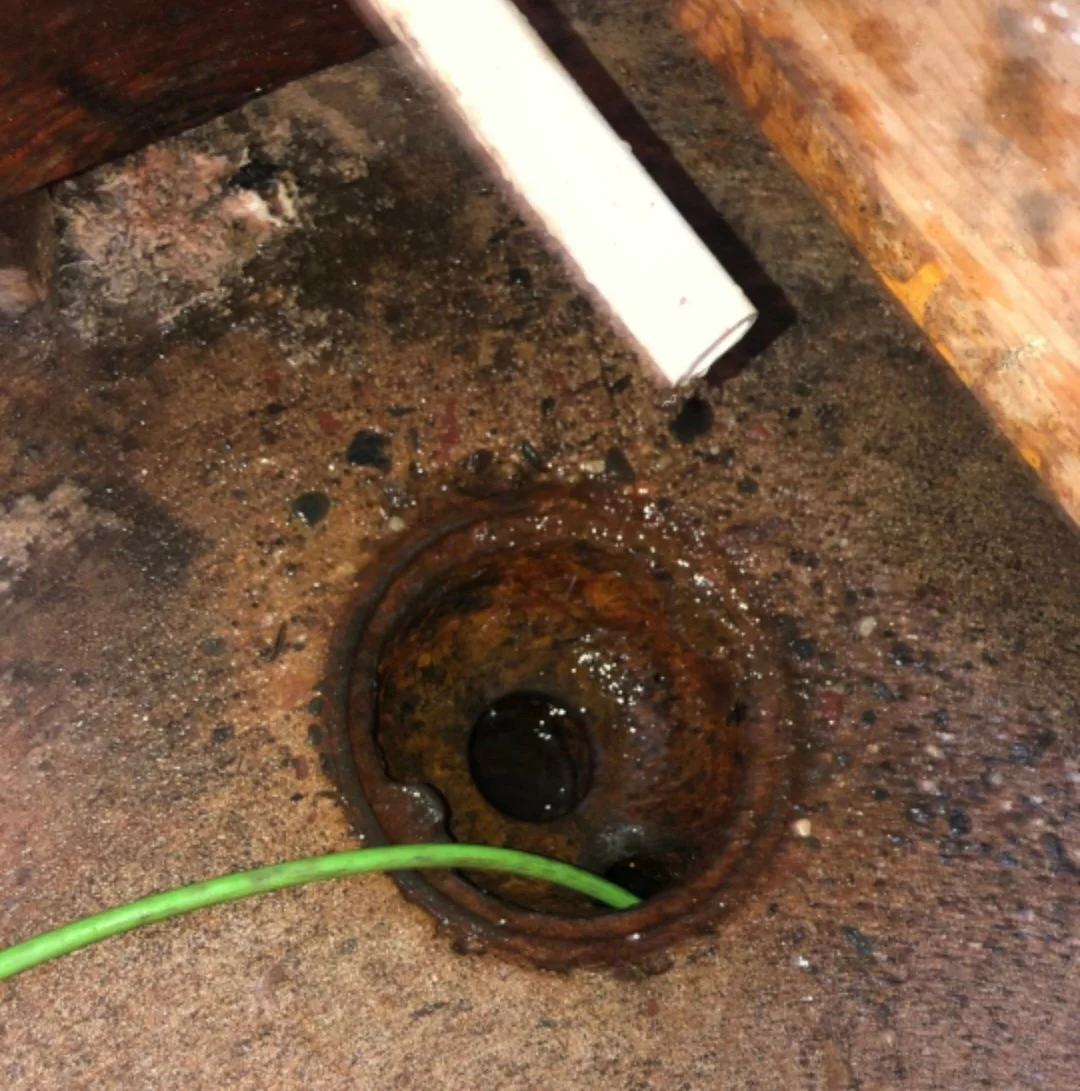 Why Do Floor Drains&nbsp;Clog?