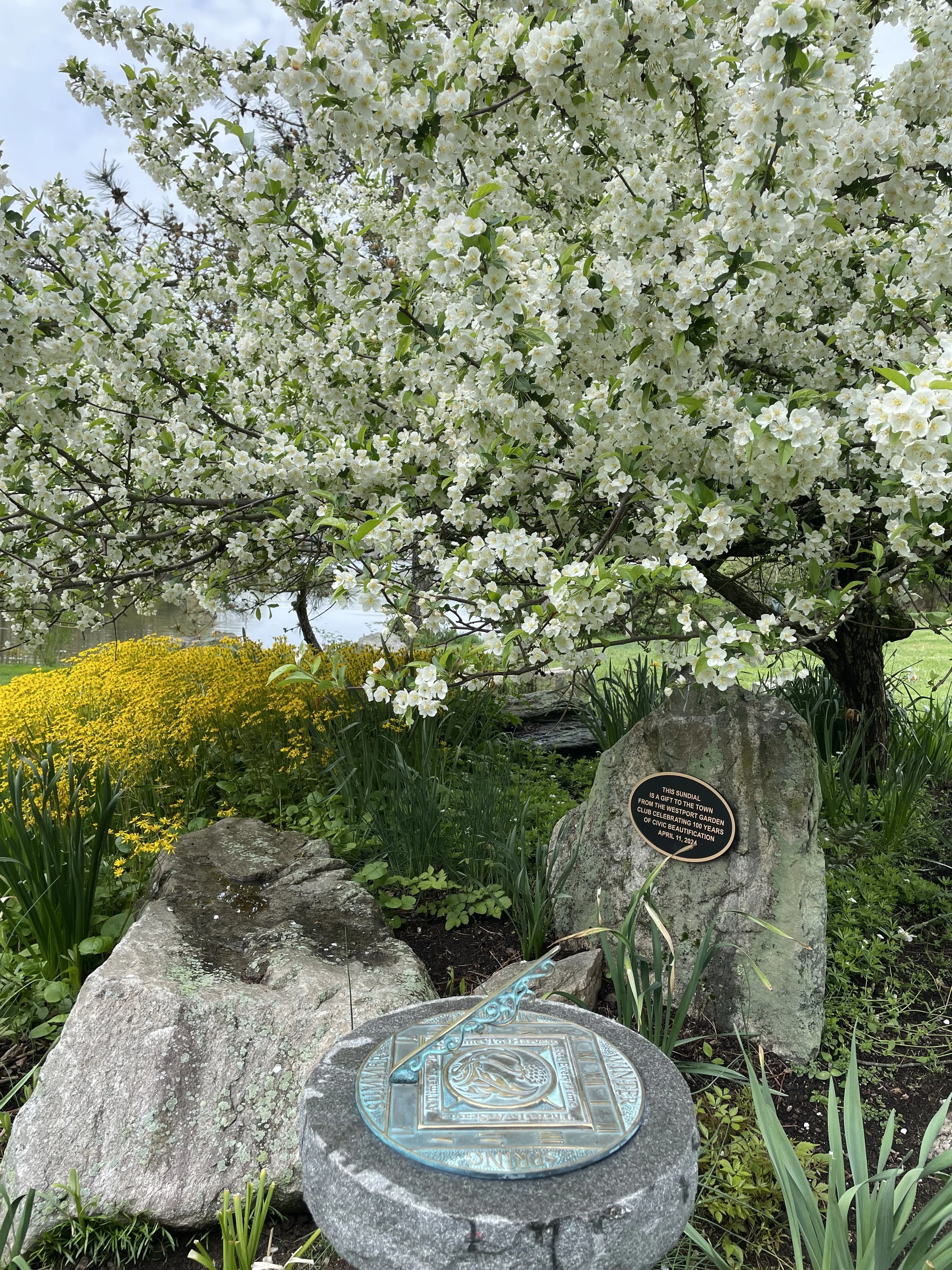 grace k salmon park.jpeg