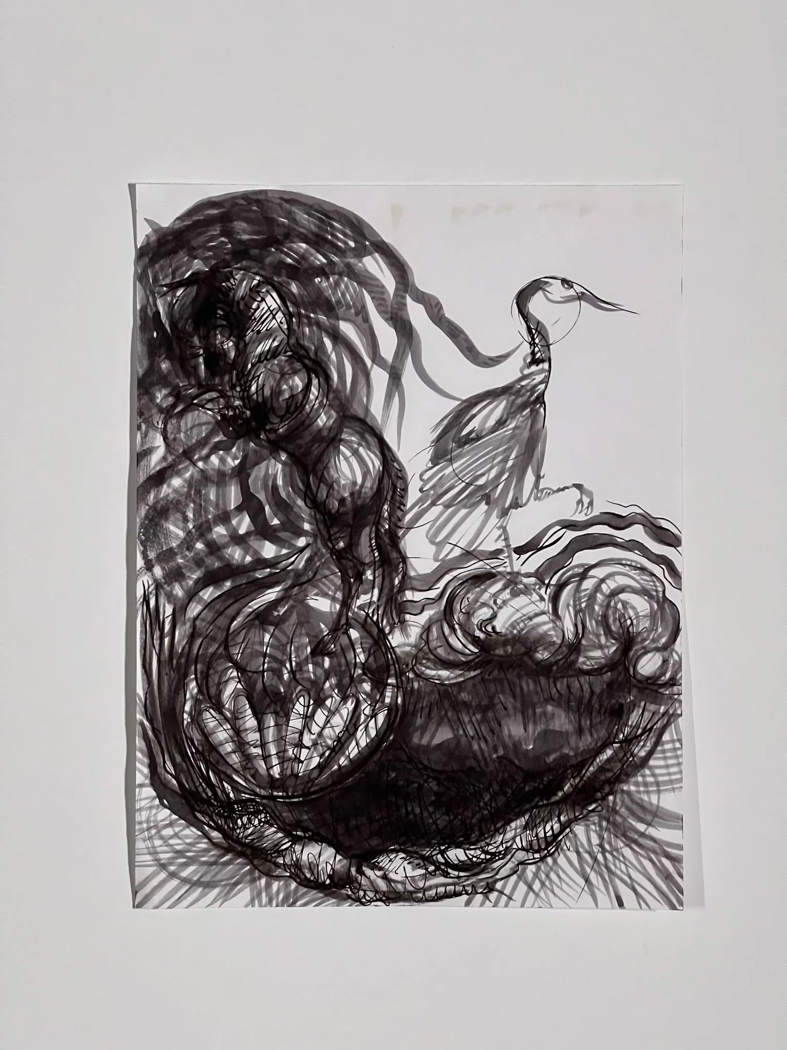 Barley-Vogel-MD-Black-And-White-Drawings-5.jpg
