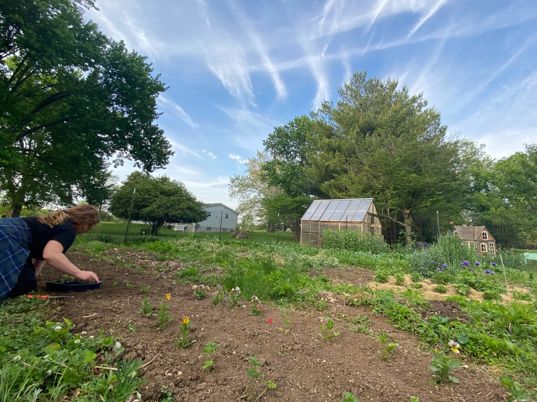 Feeding the Soil - Class 1
