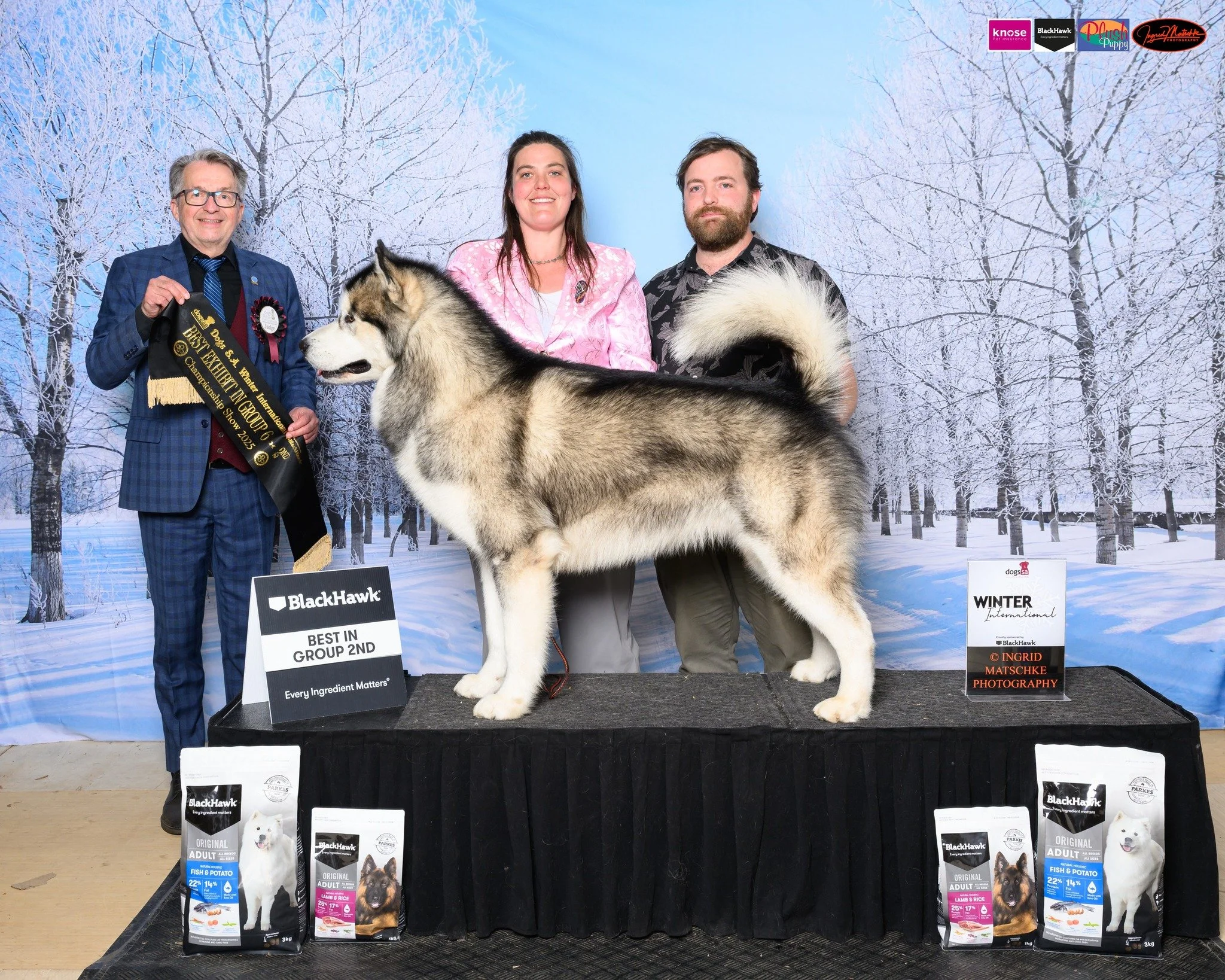 Calcifer wins Group 2nd at Winter International 2025