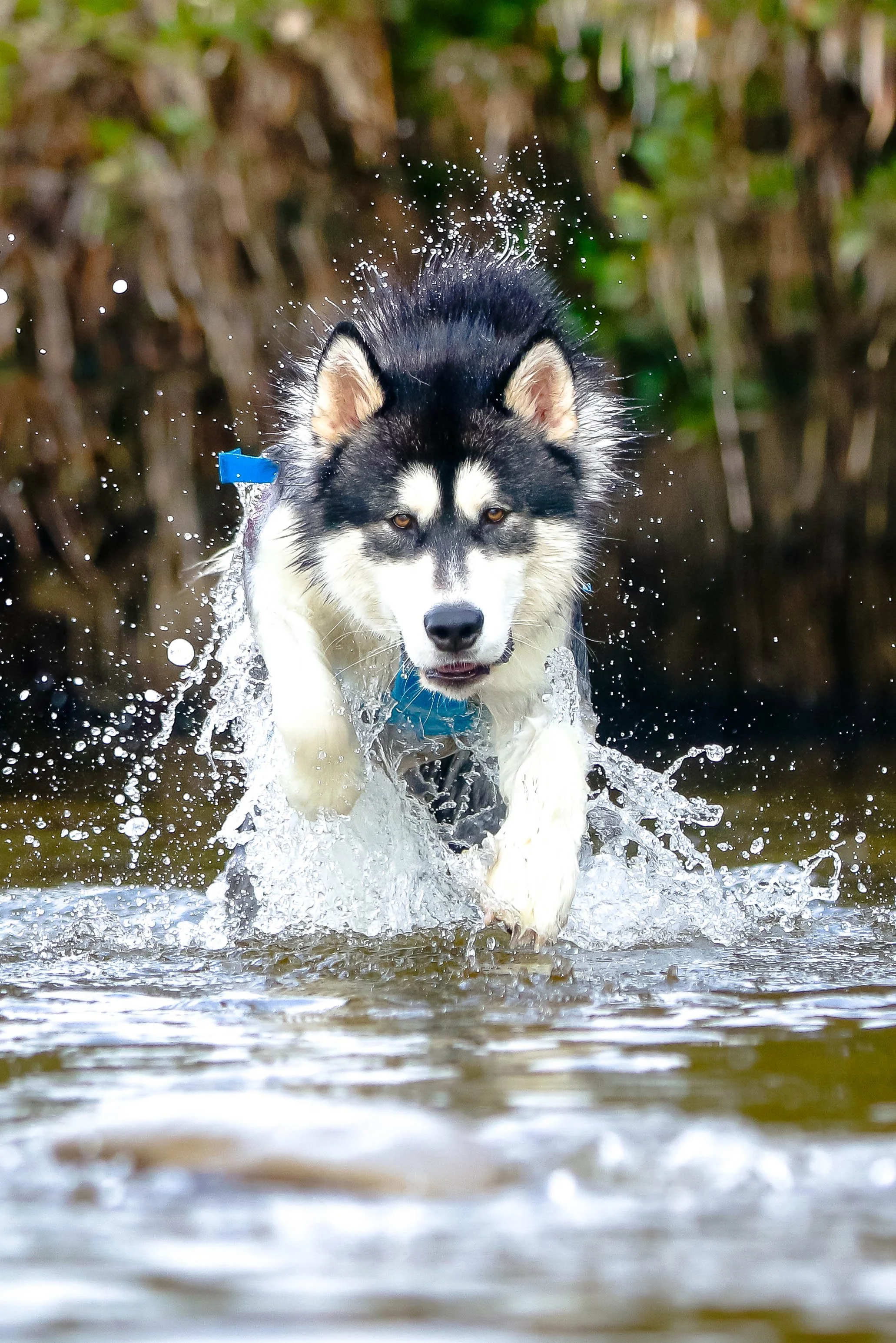 20240116-IMG_7191 copy.jpg