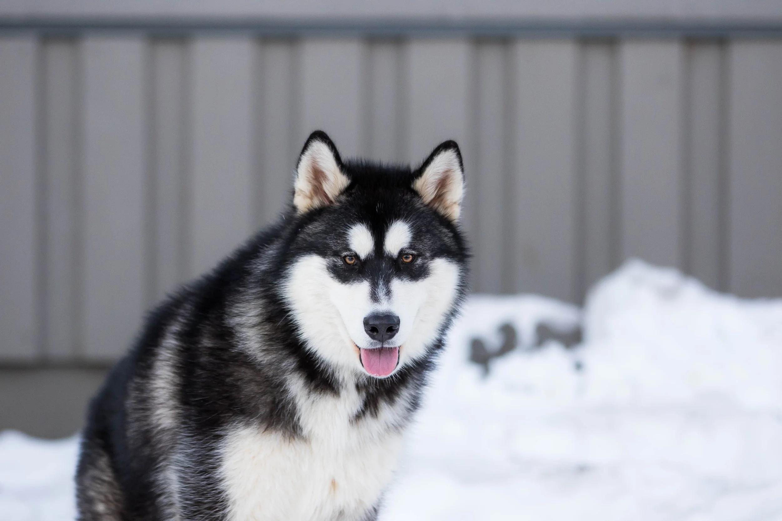 20230809-IMG_9888-2 copy.jpg