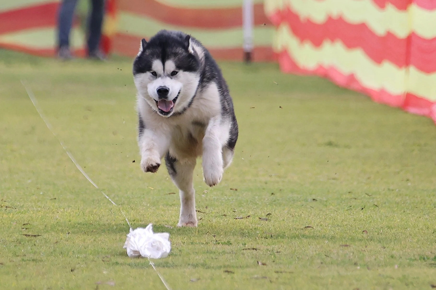 89 FisherKapplerZPolarhikeMayYourBaconBurn037.JPG