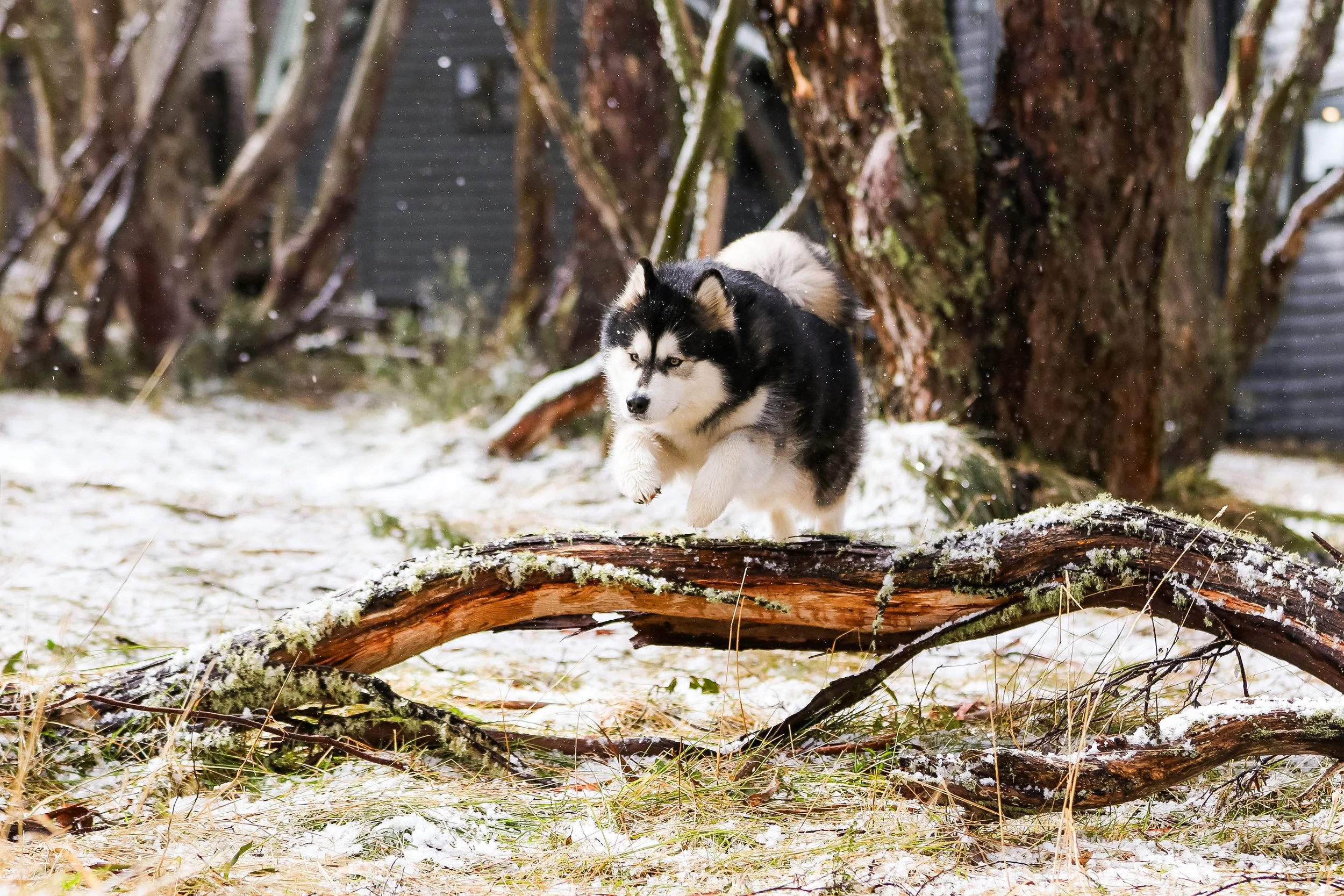 20230810-IMG_2054 copy.jpg