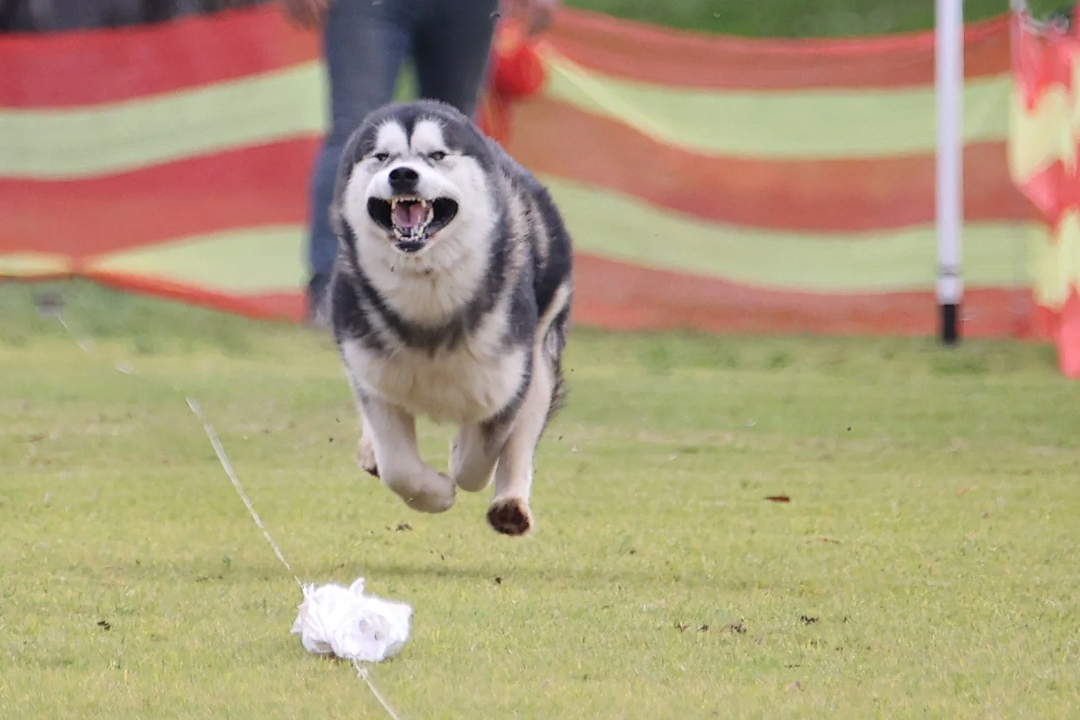 89 FisherKapplerZPolarhikeMayYourBaconBurn020.JPG