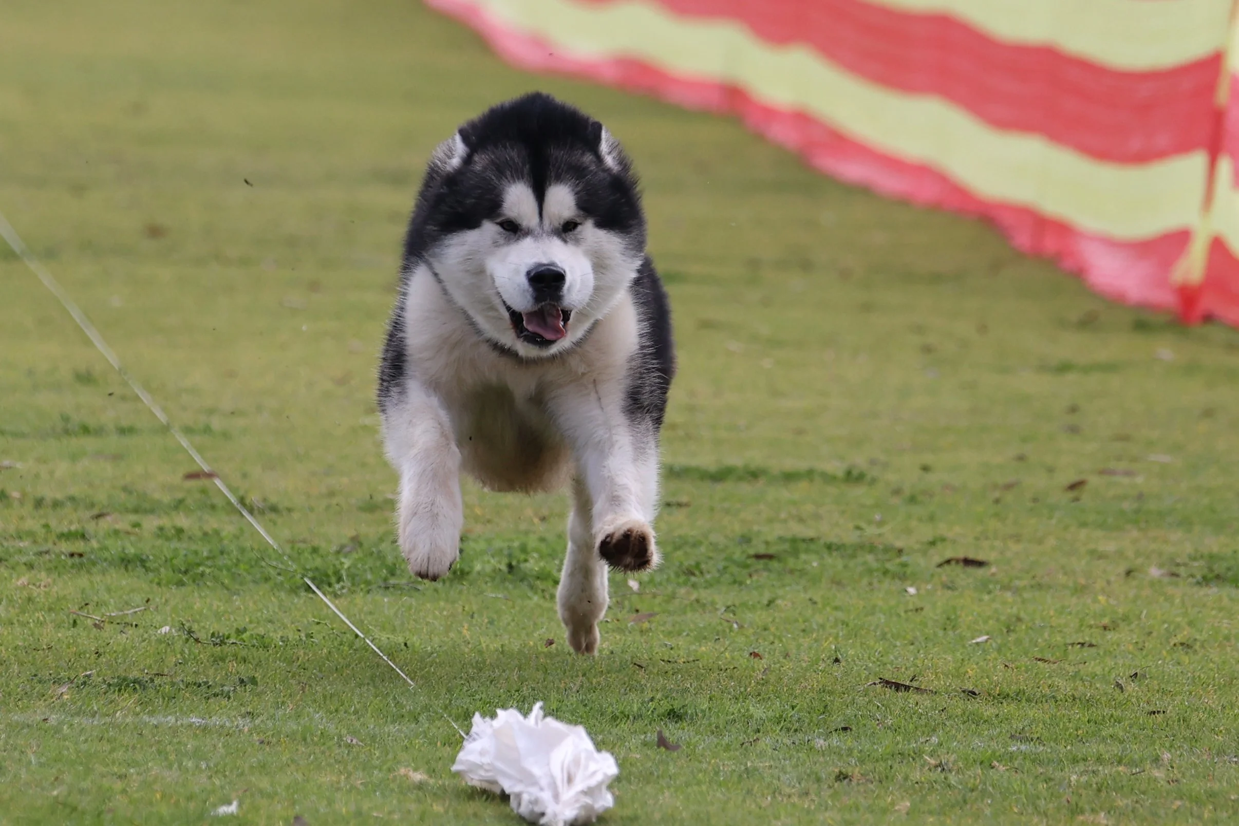 89 FisherKapplerZPolarhikeMayYourBaconBurn059.JPG