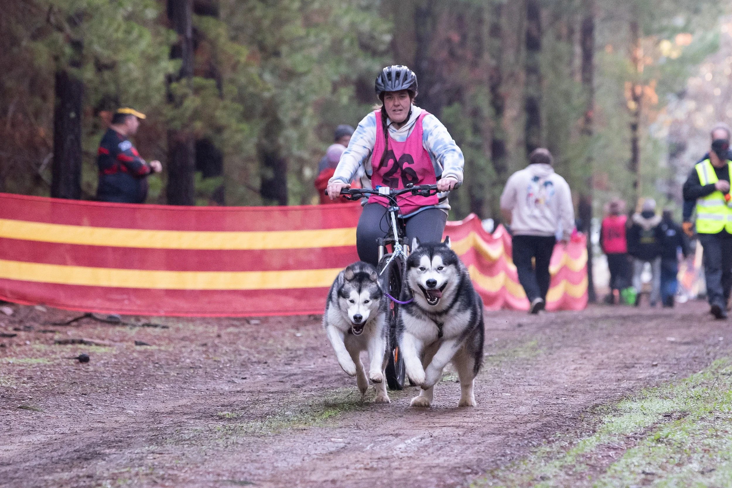 sleddogssat12thJul25-259.jpg