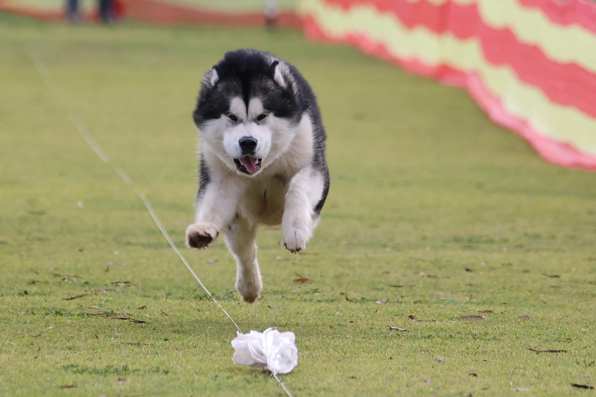 89 FisherKapplerZPolarhikeMayYourBaconBurn048.JPG