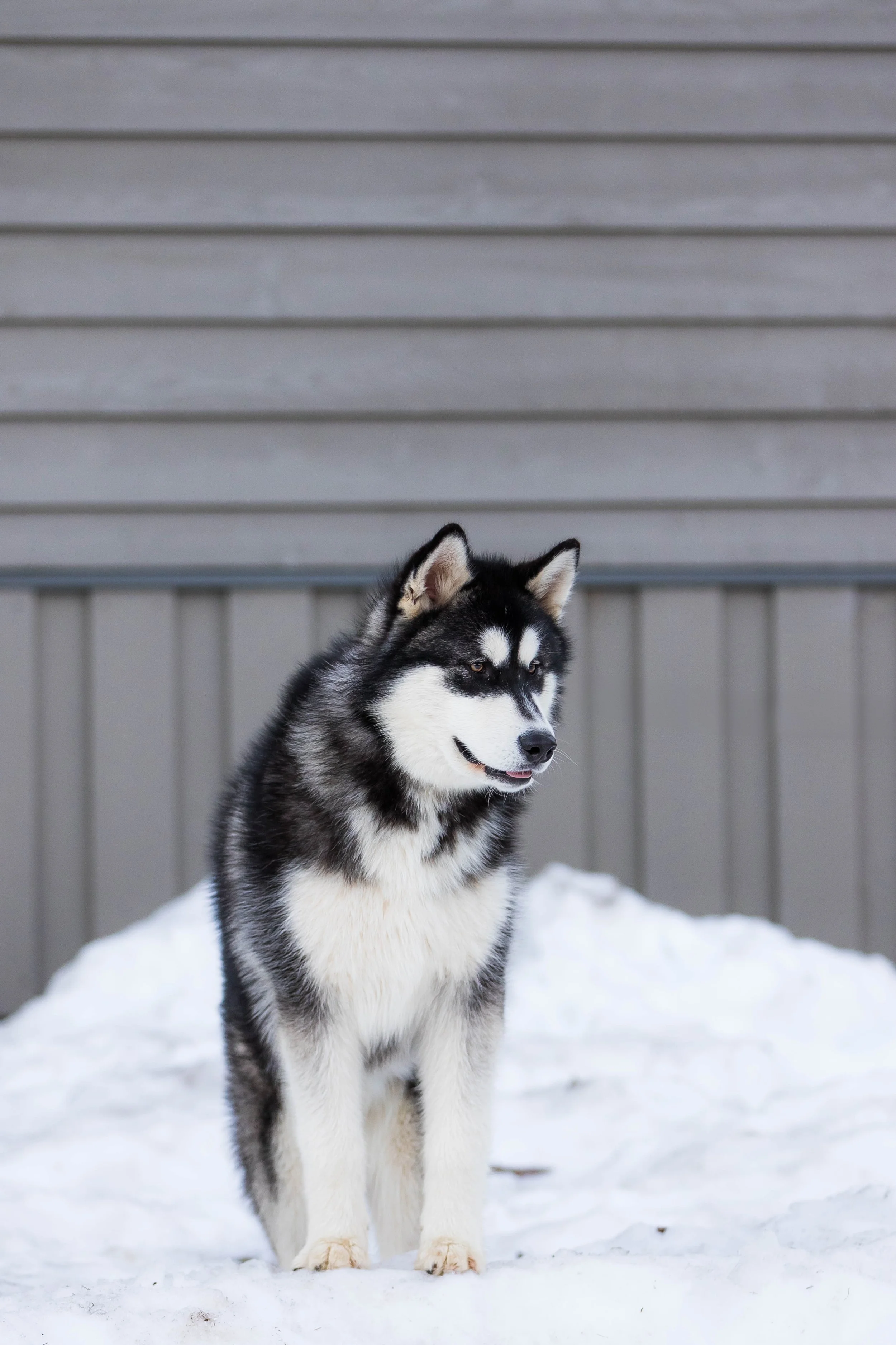 20230809-IMG_9863-2 copy.jpg