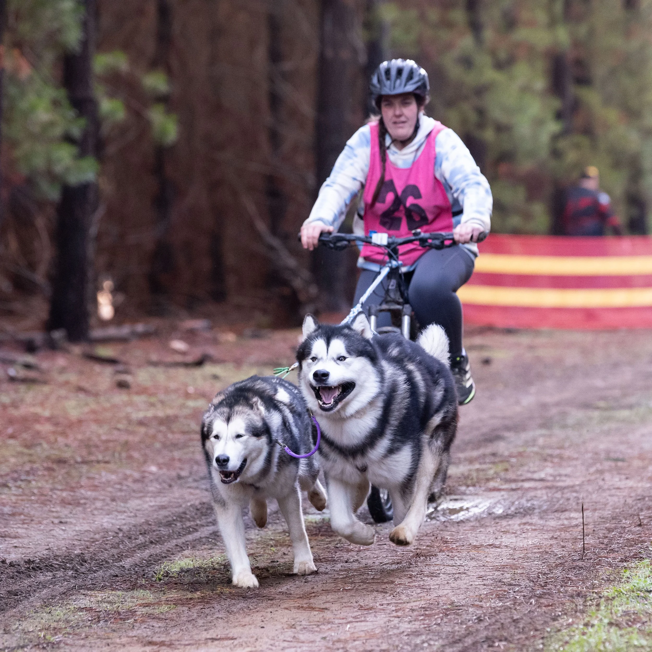 sleddogssat12thJul25-260.jpg