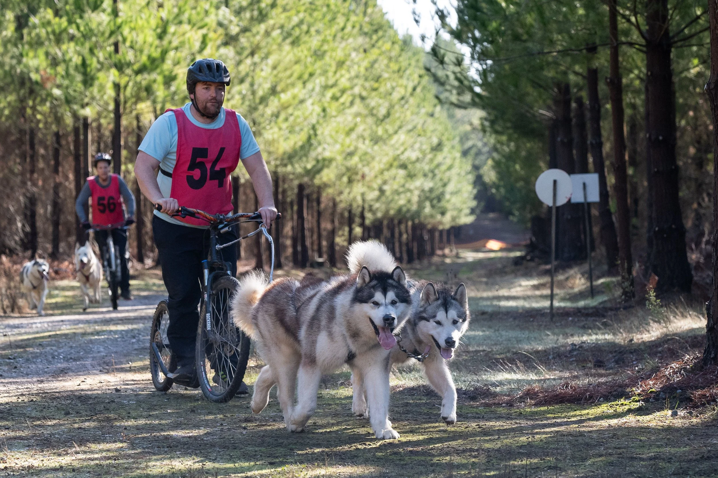 sleddogssat12thJul25-655 (1).jpg
