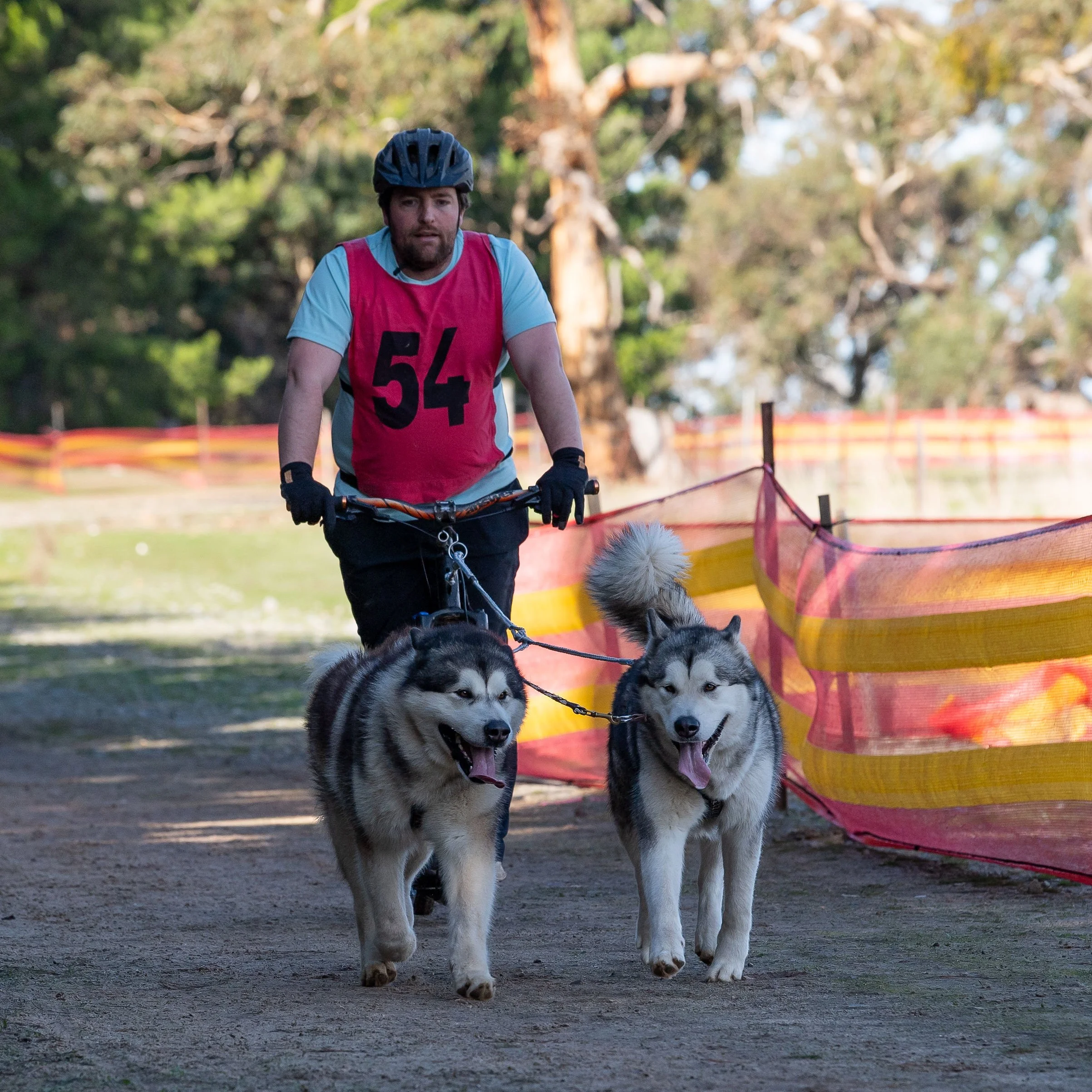 sleddogssun13thJul25-588.jpg