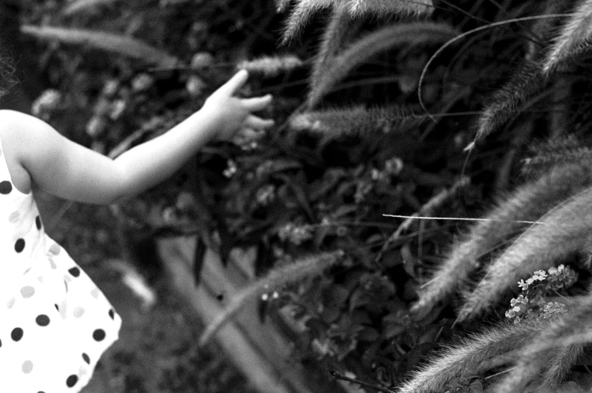 Portfolio (8 of 33).jpg