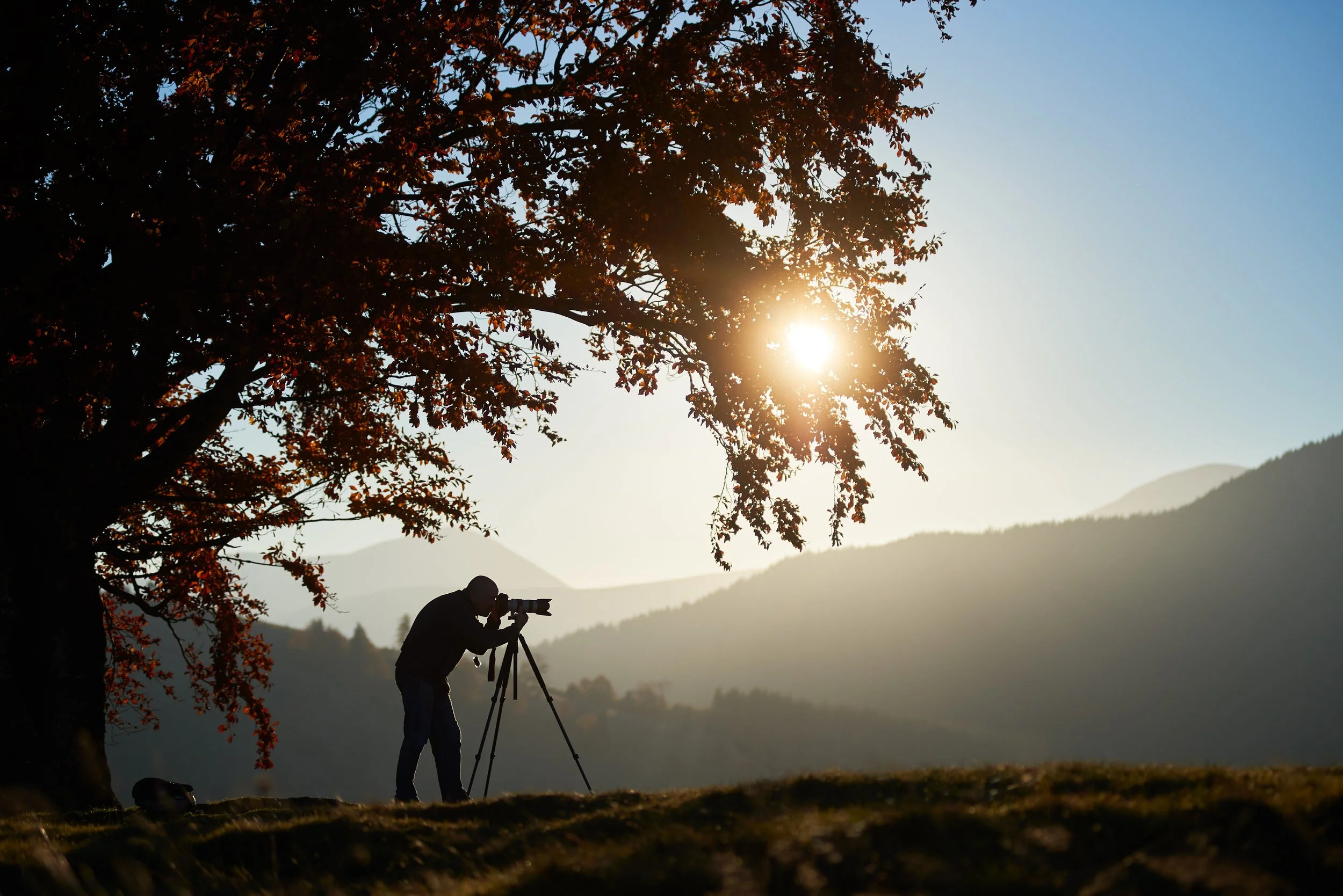 A photographer shooting a landscape scene during sunset or sunrise, with mountains in the background and a large tree in the foreground.