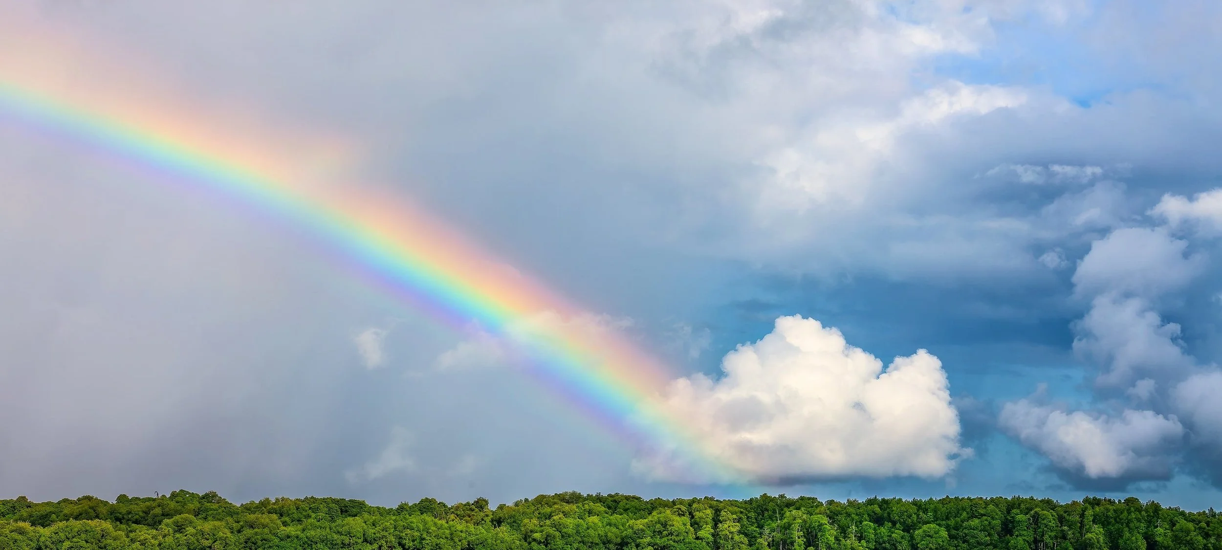 Living Rainbow