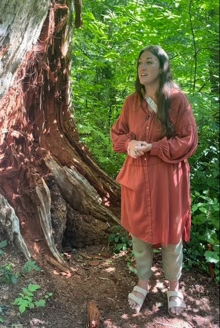 Forest Plant Identification Walk
