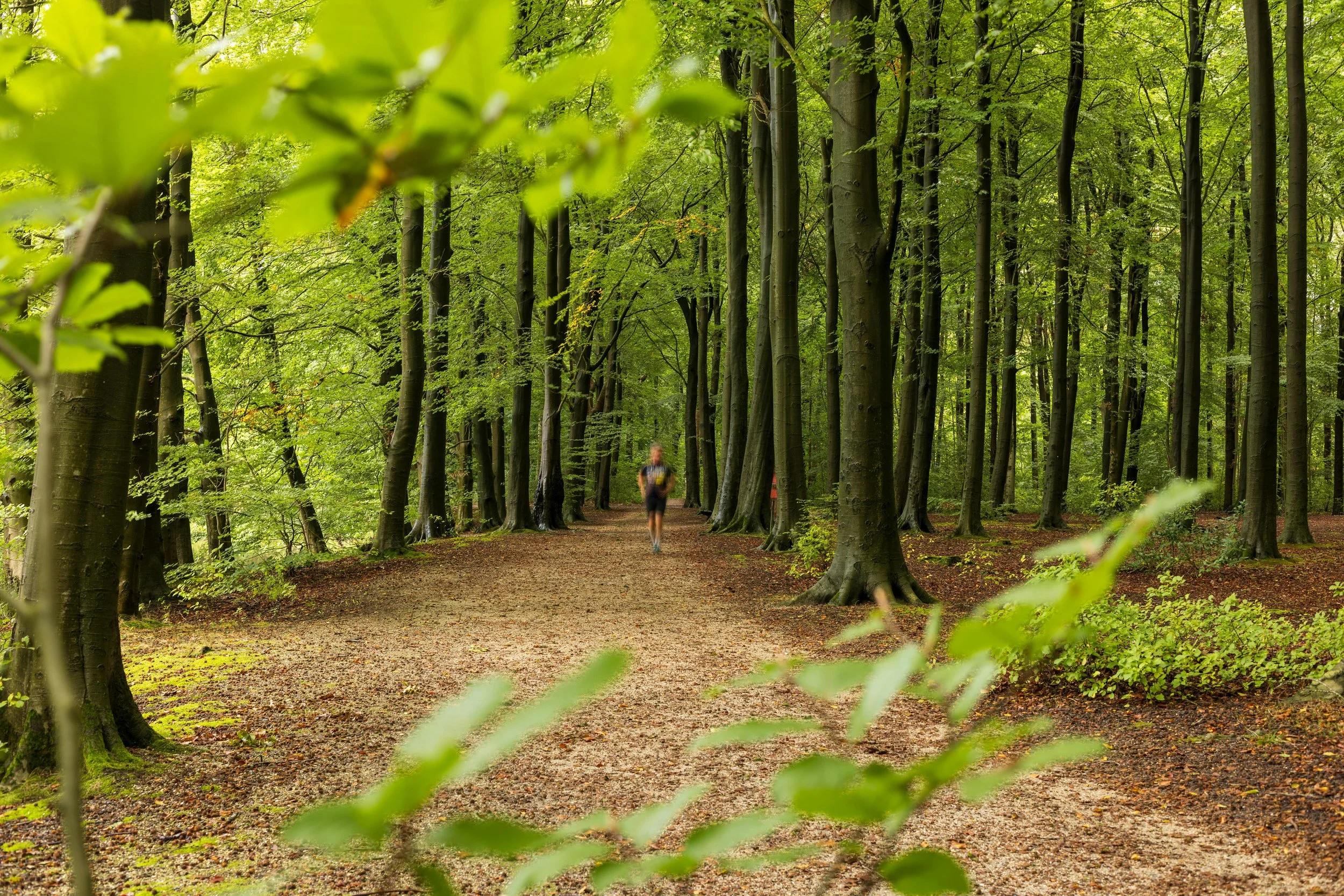 Man running through a forest