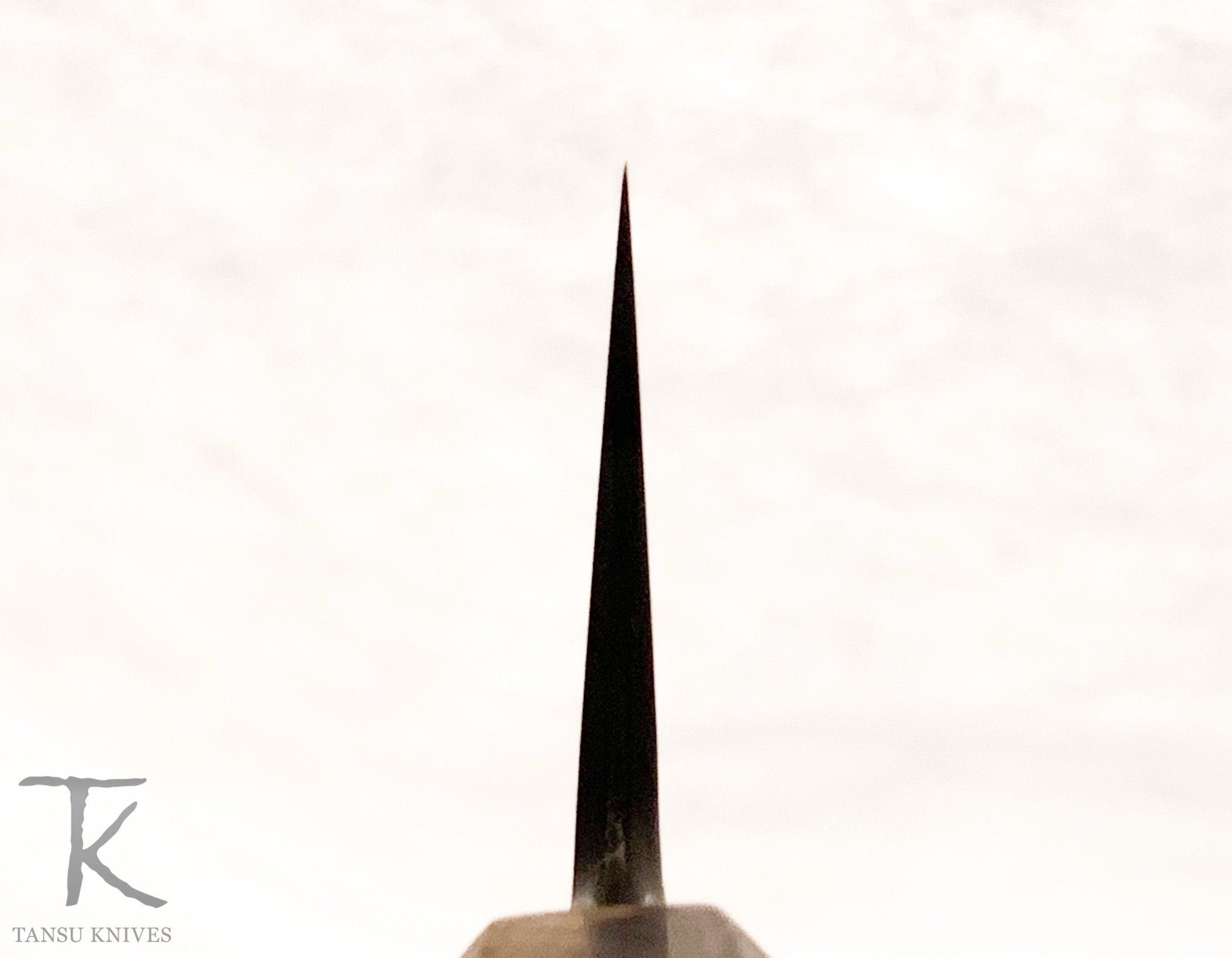 6186E81C-2984-4F77-92B2-6DF0B404F485.jpeg