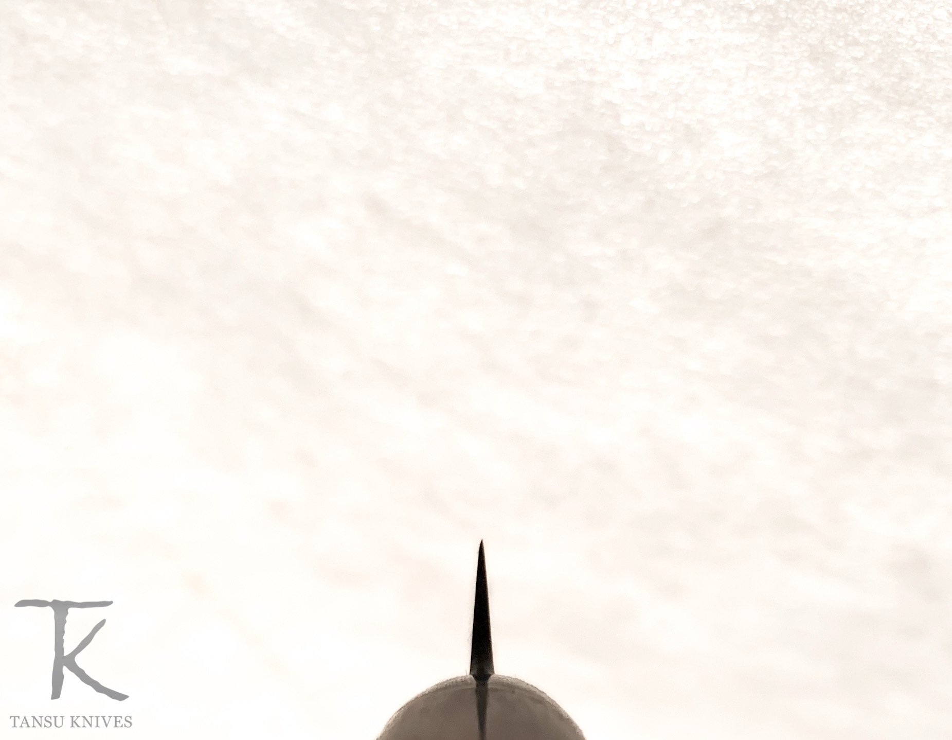 3AC7A71E-0CC9-4D0C-9020-0A4EBC22D8C9.jpeg