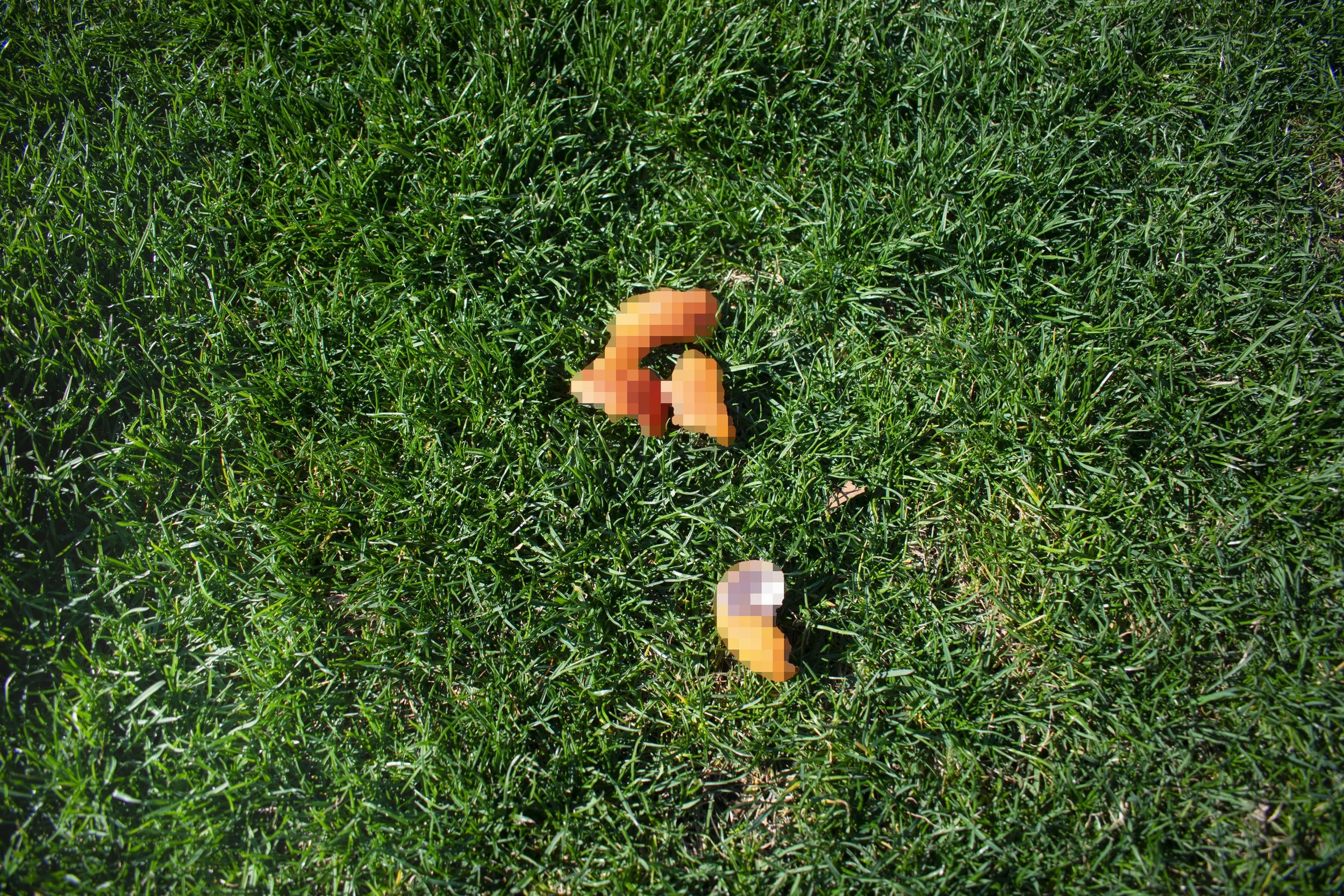 peel_edited.jpg