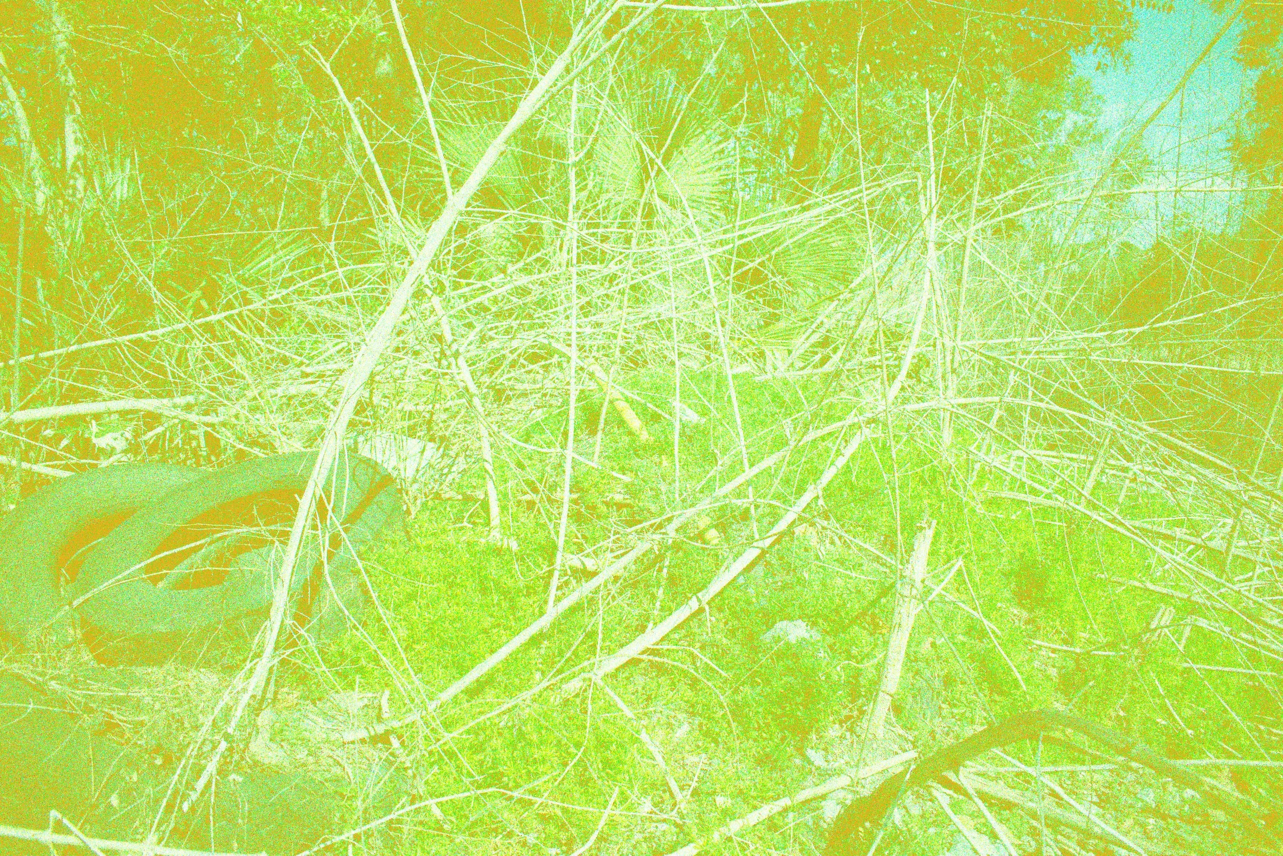 sticks_noise.jpg