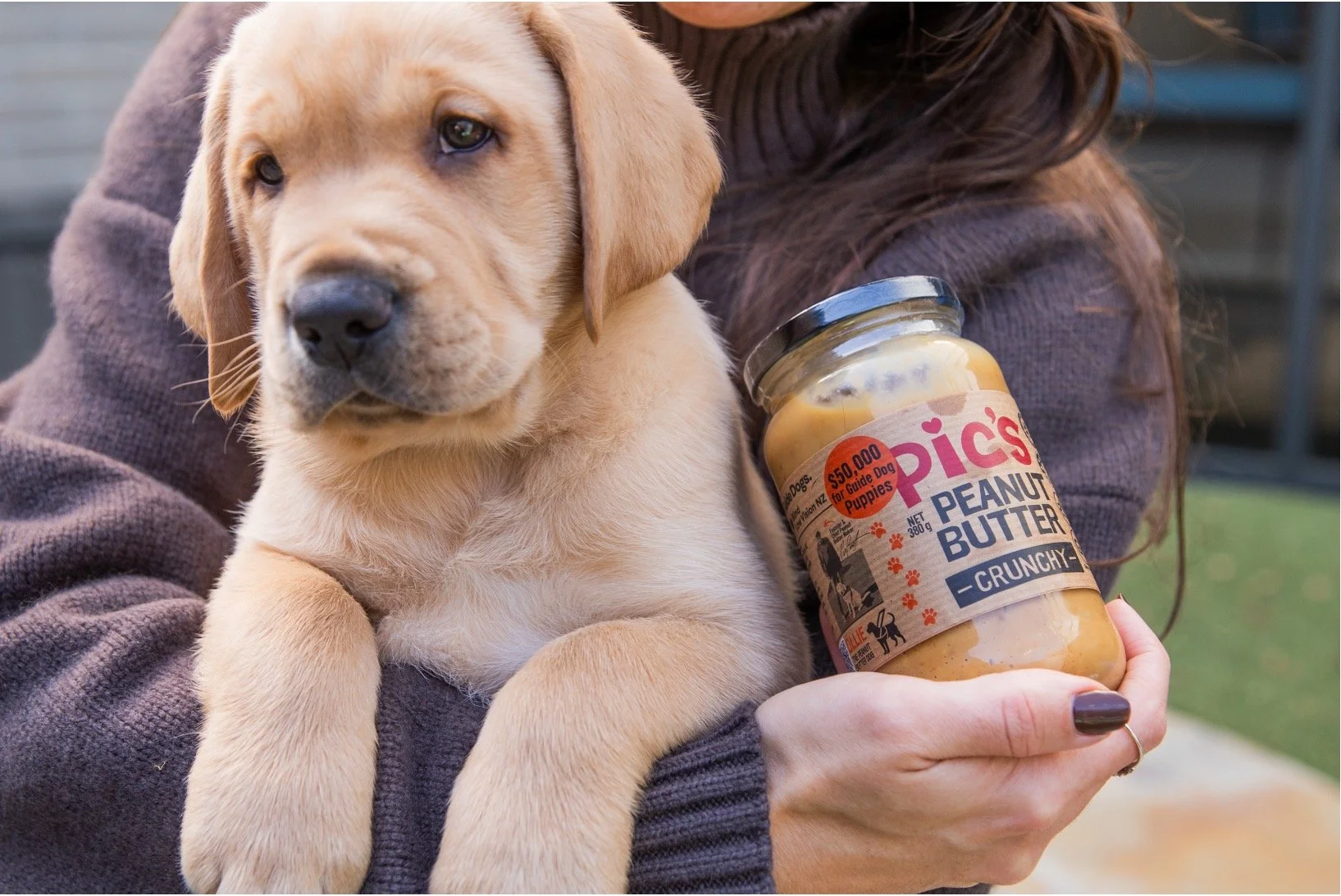 Guide Dogs Close Up.jpg
