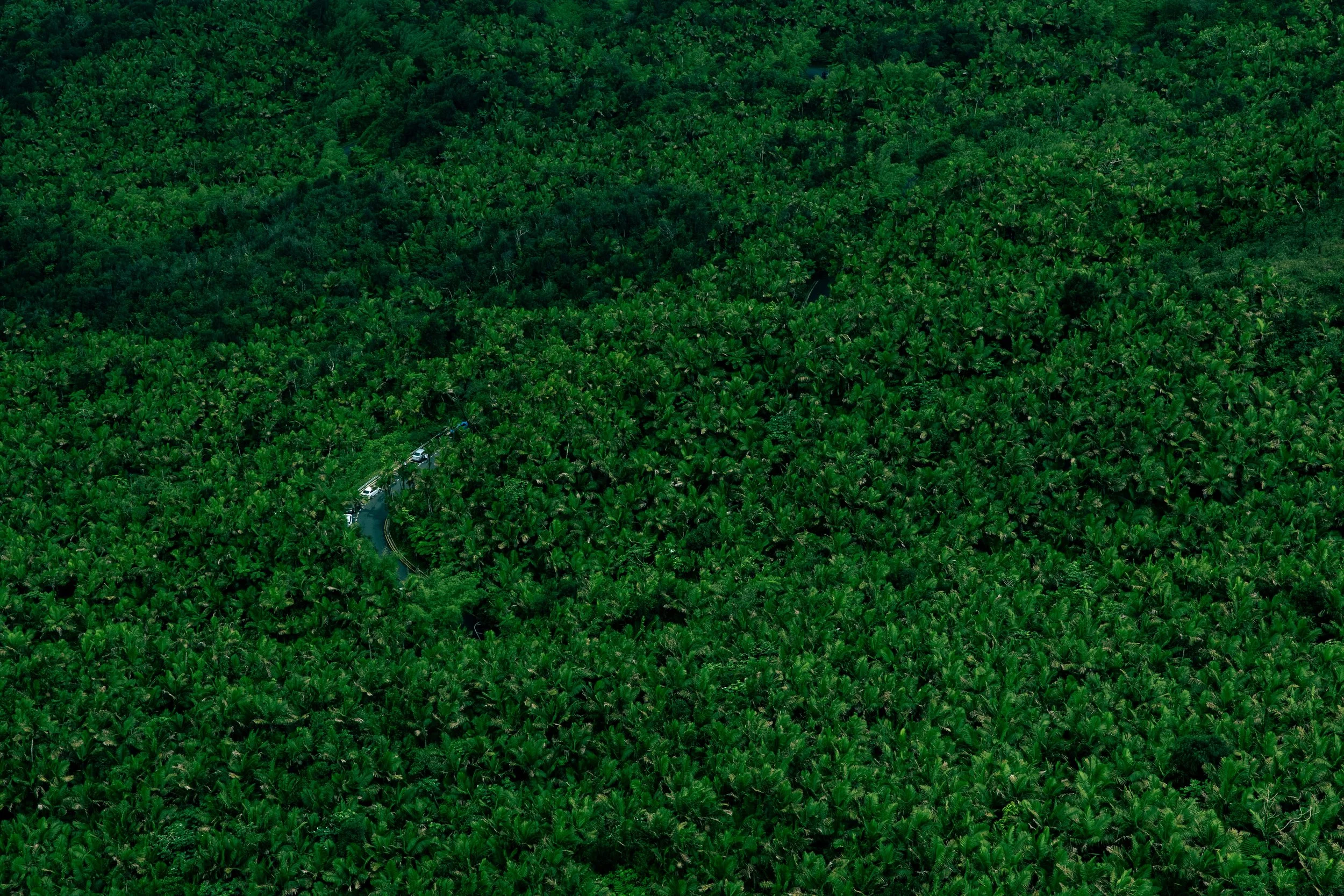 0F5A9542 (1) compressed.jpg