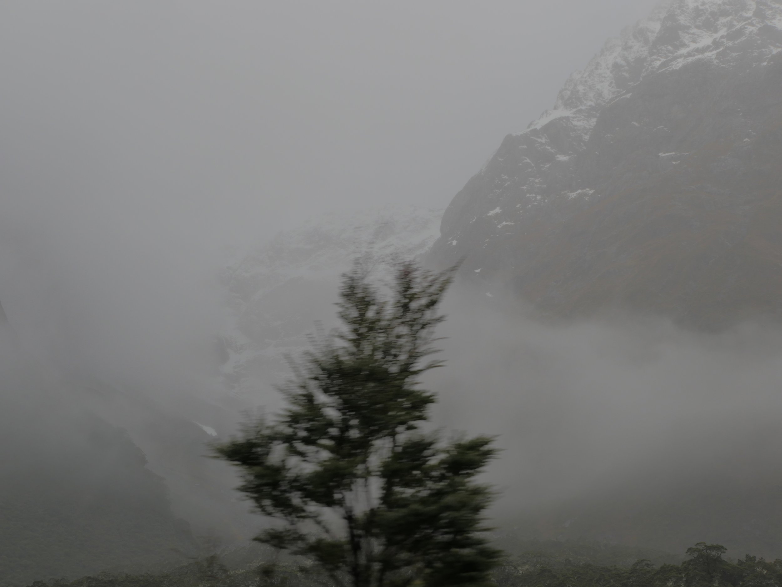 Misty mountain landscape with fog and blurry tree in foreground