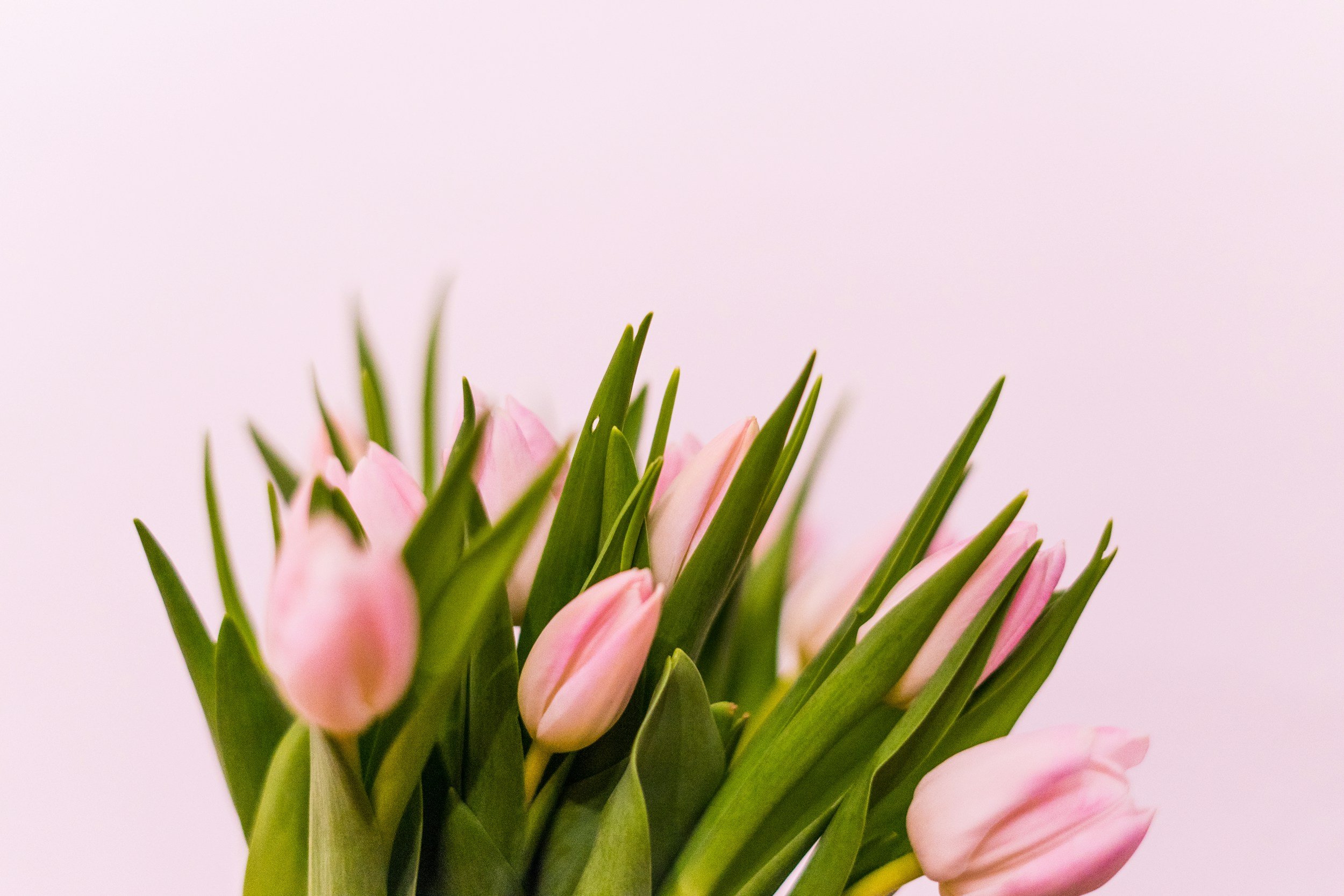 International Women's Day