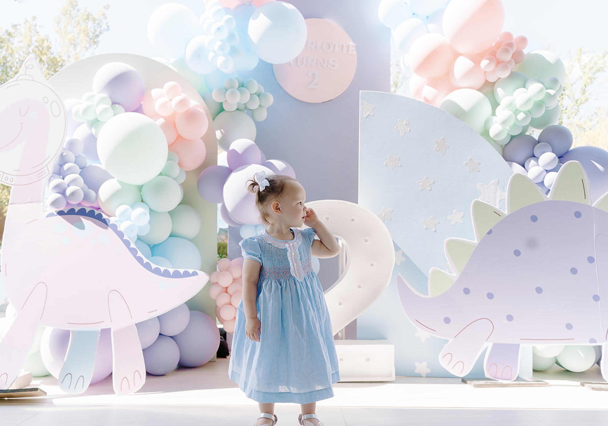 Screen Shot 2024-08-06 at 12.26.24 PM.png