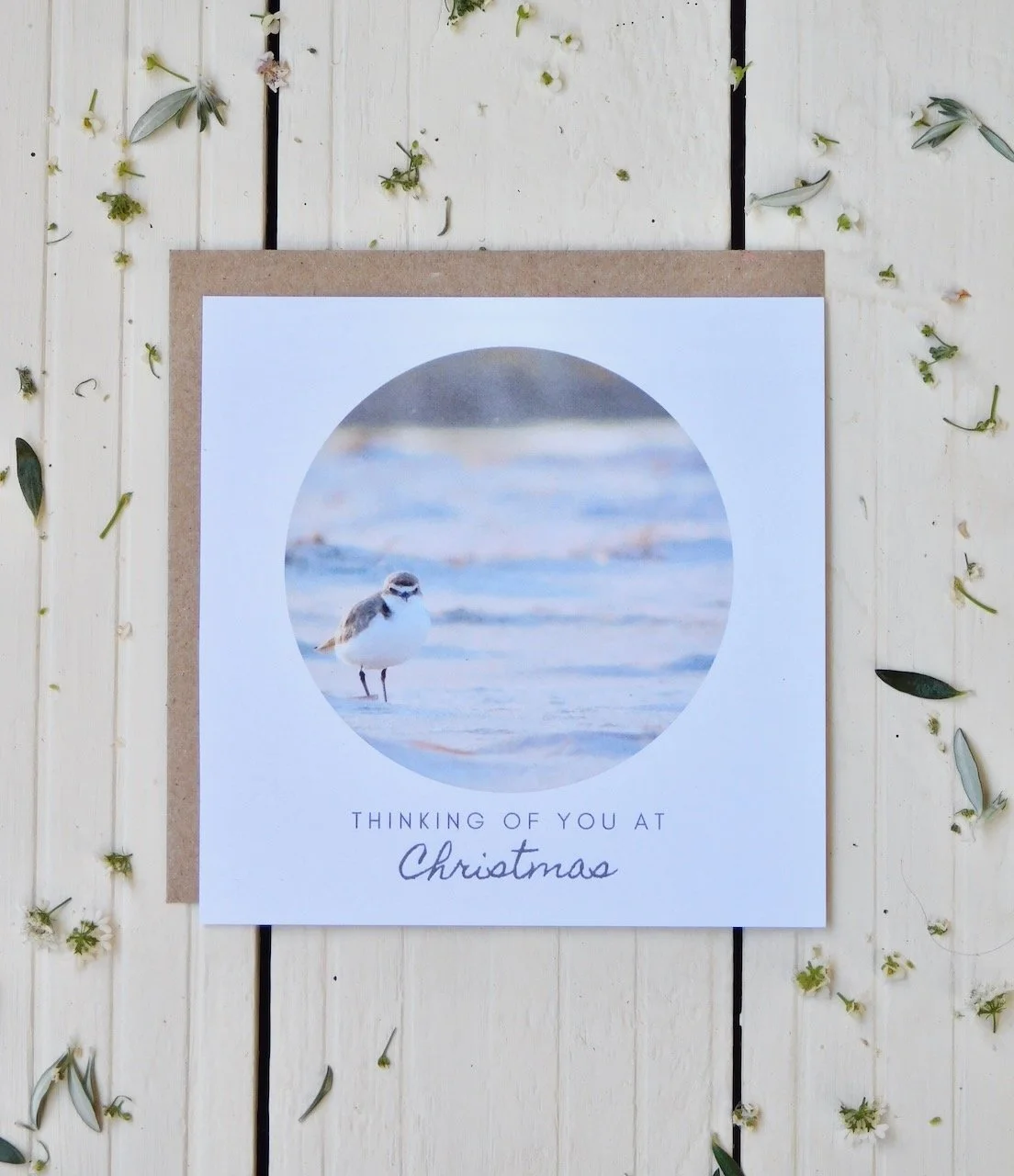 Eco-christmas-card-redcapped-plover-australia.jpeg