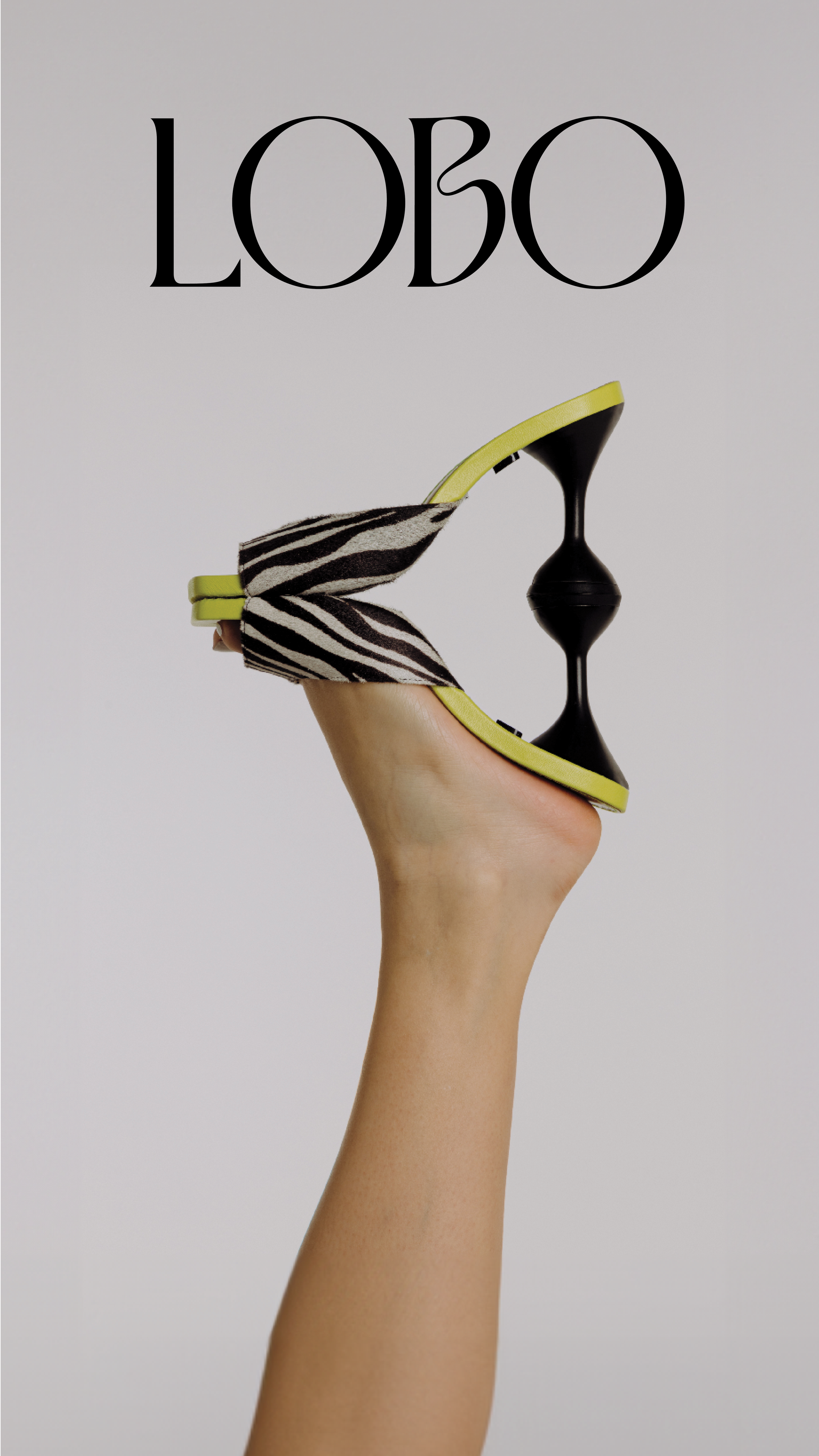 LOBO_Foot_APR245.png