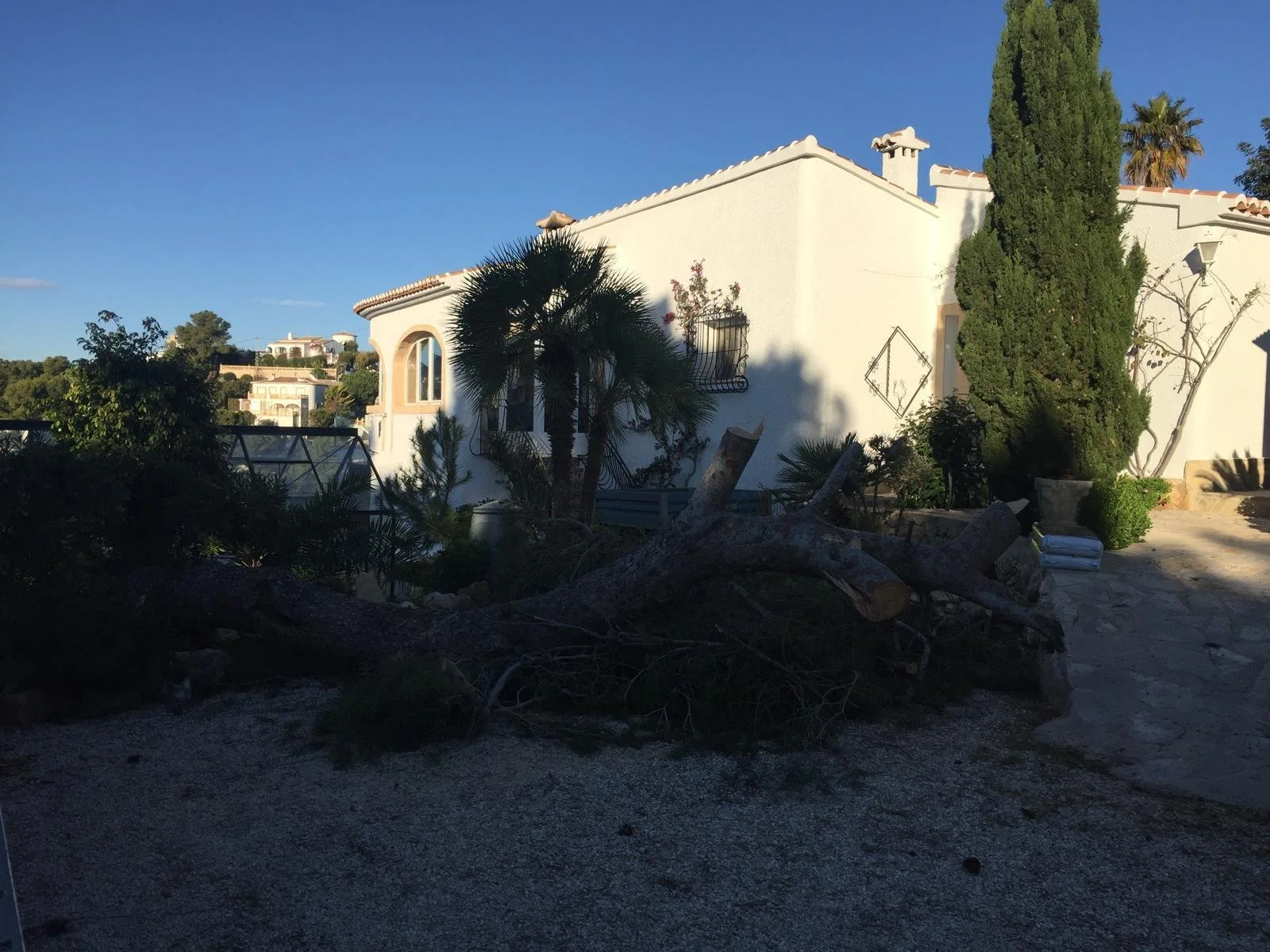 WhatsApp Image 2025-12-03 at 18.41.35.jpeg